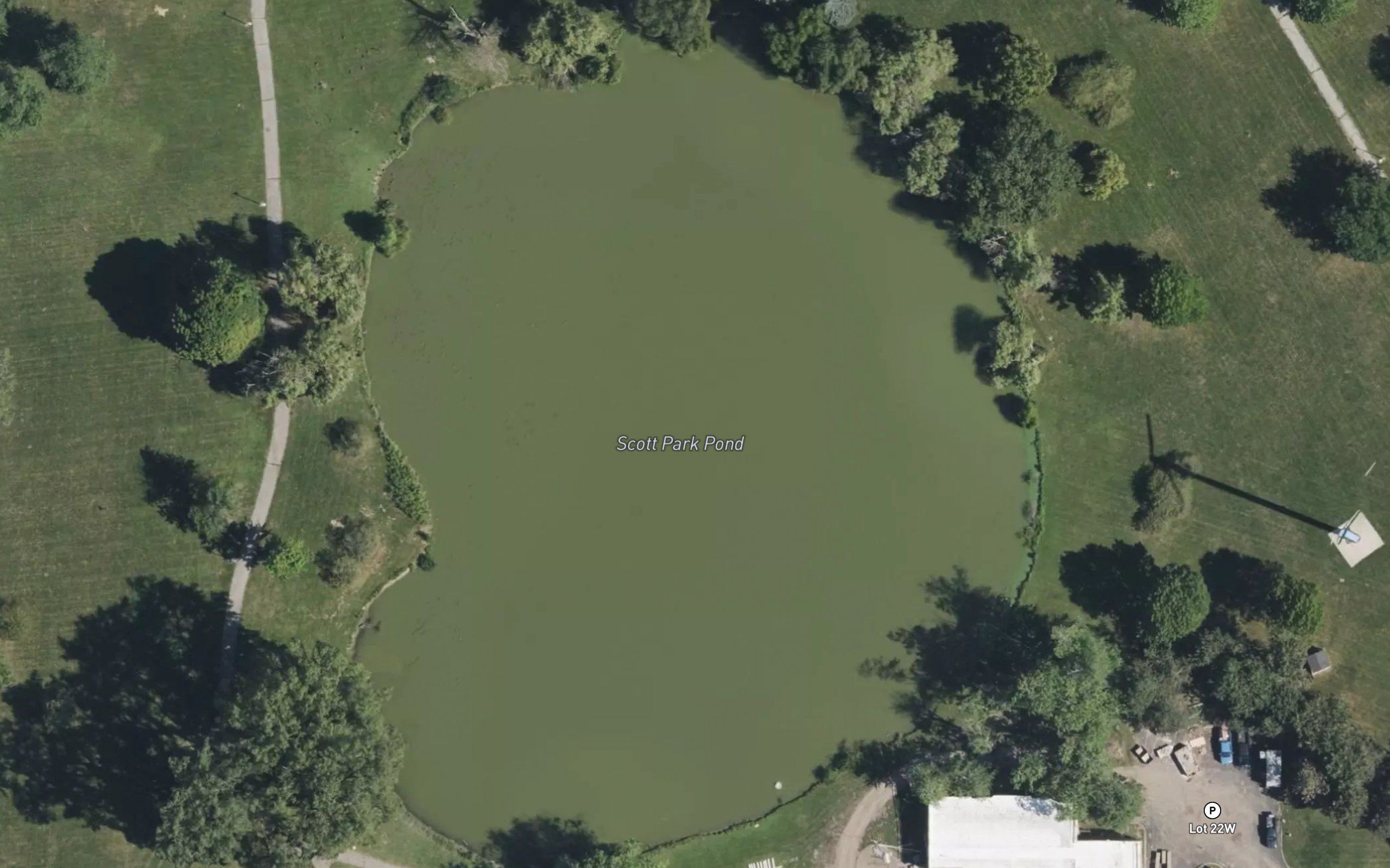 Scott Park Pond