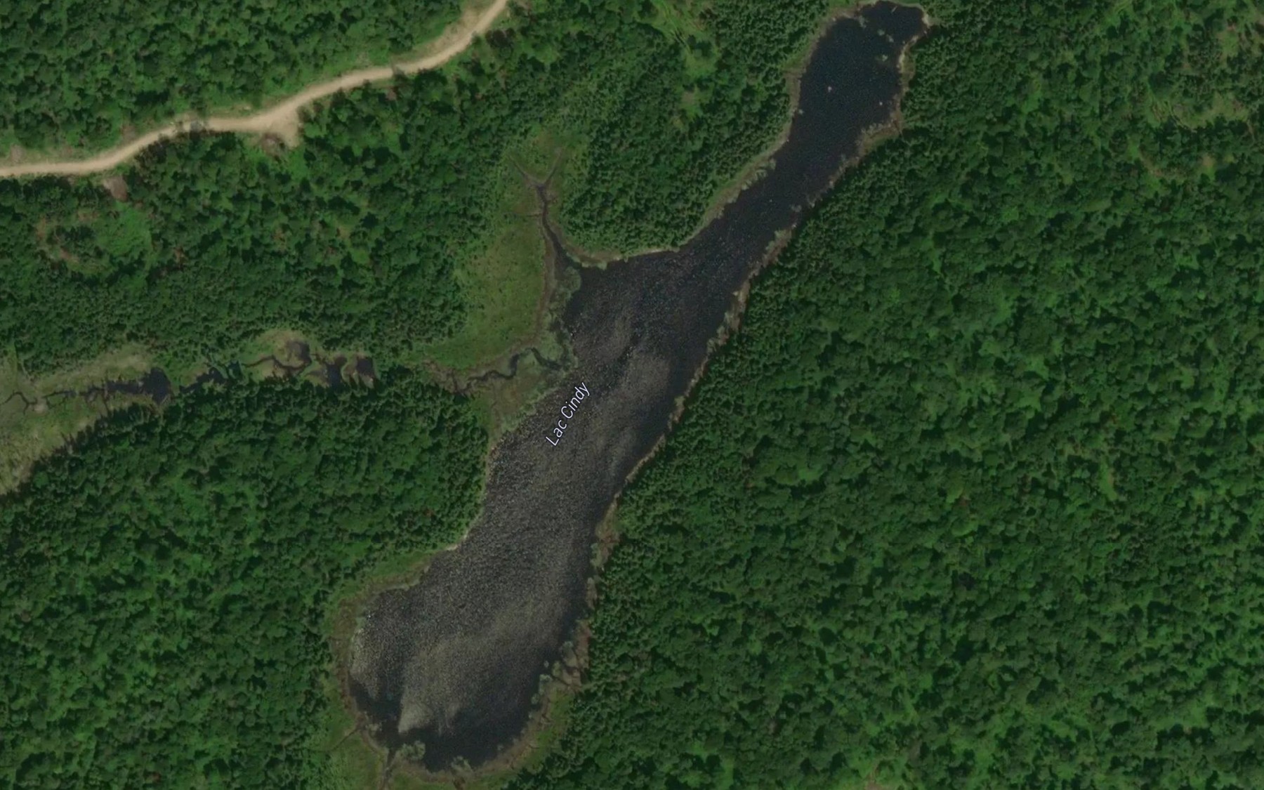 Satellite map of the Lac Cindy