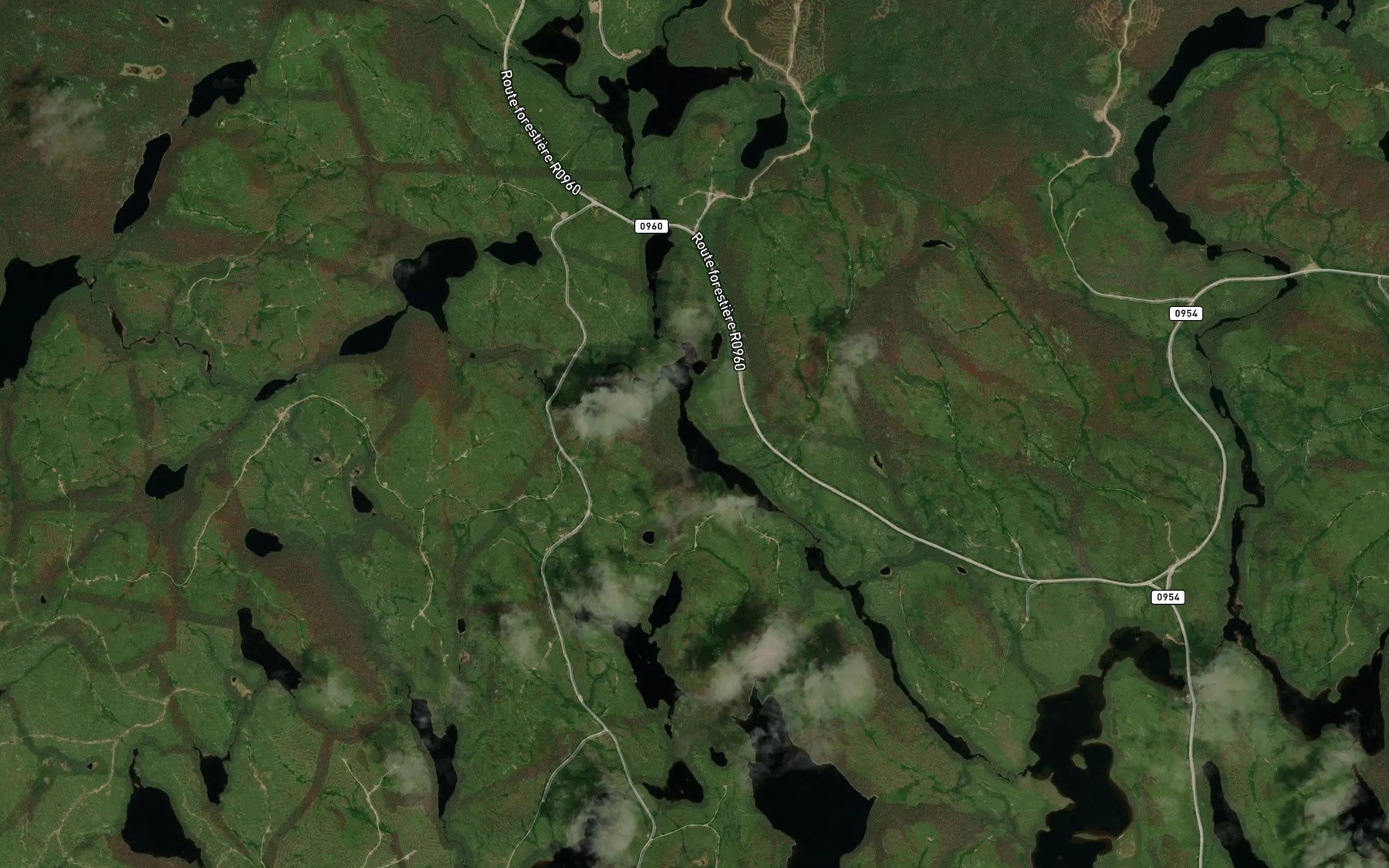Satellite map of the Lac des Bouillees