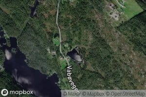 Stortjorni