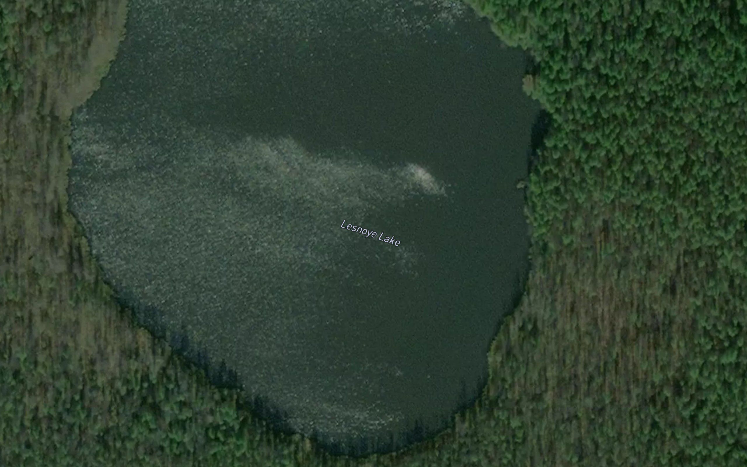 Ozero Lesnoye