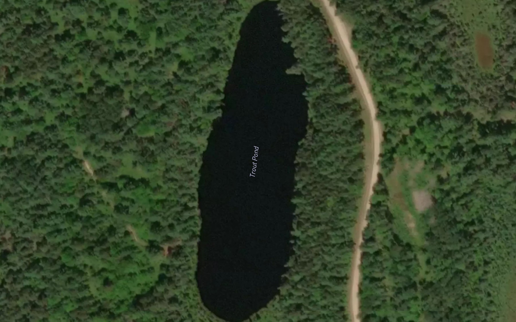 Satellite map of the Trout Pond