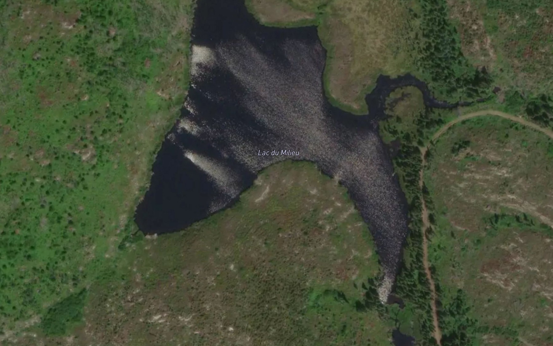Satellite map of the Lac du Milieu