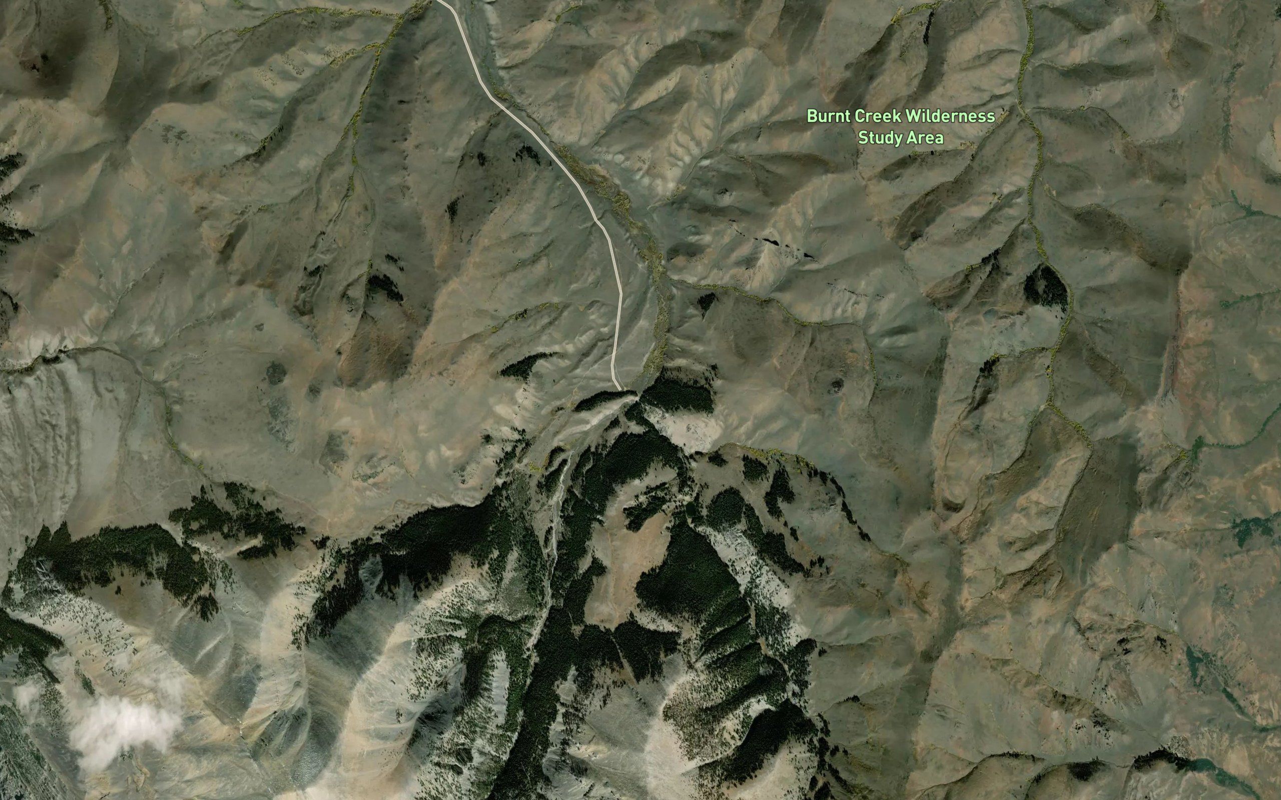 West Fork Burnt Creek