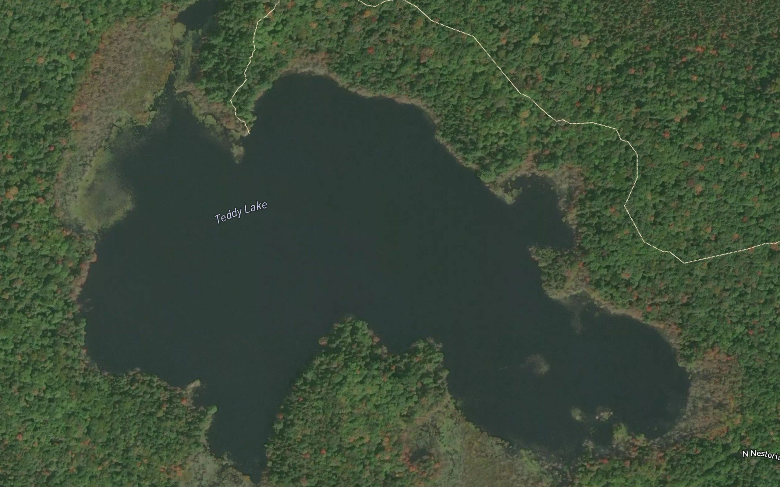 Teddy Lake