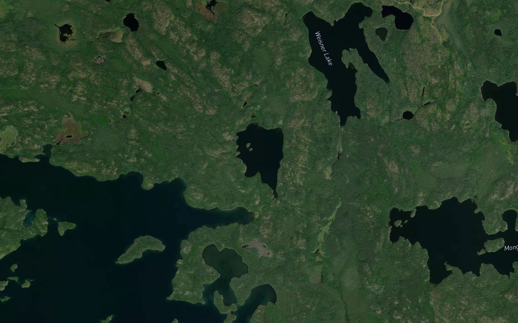 Satellite map of the Wicks Lake