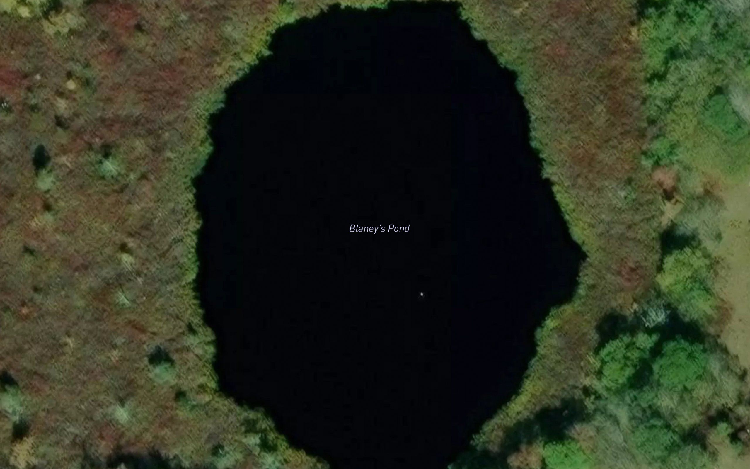Blaney Pond