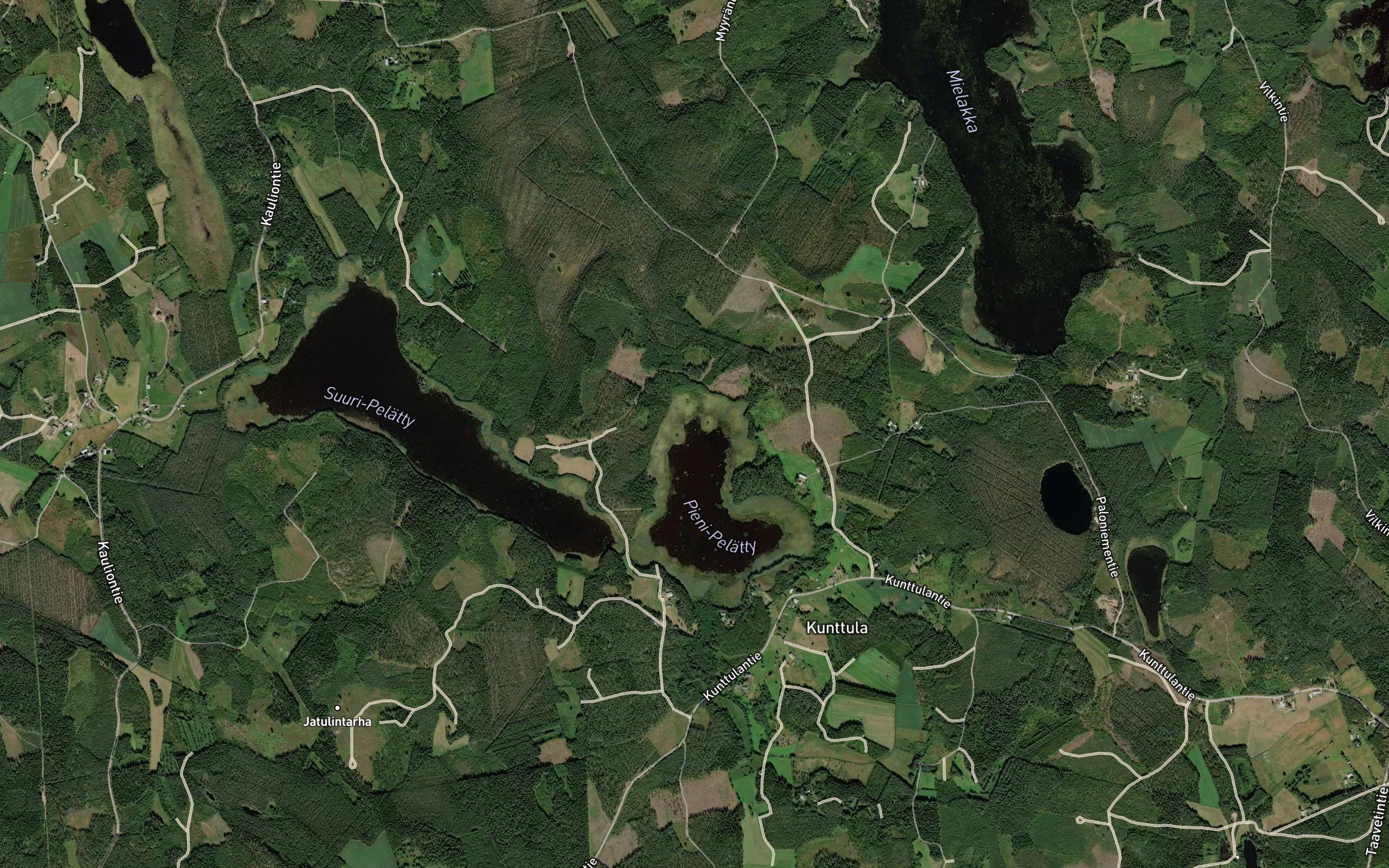 Kuitikanlahti