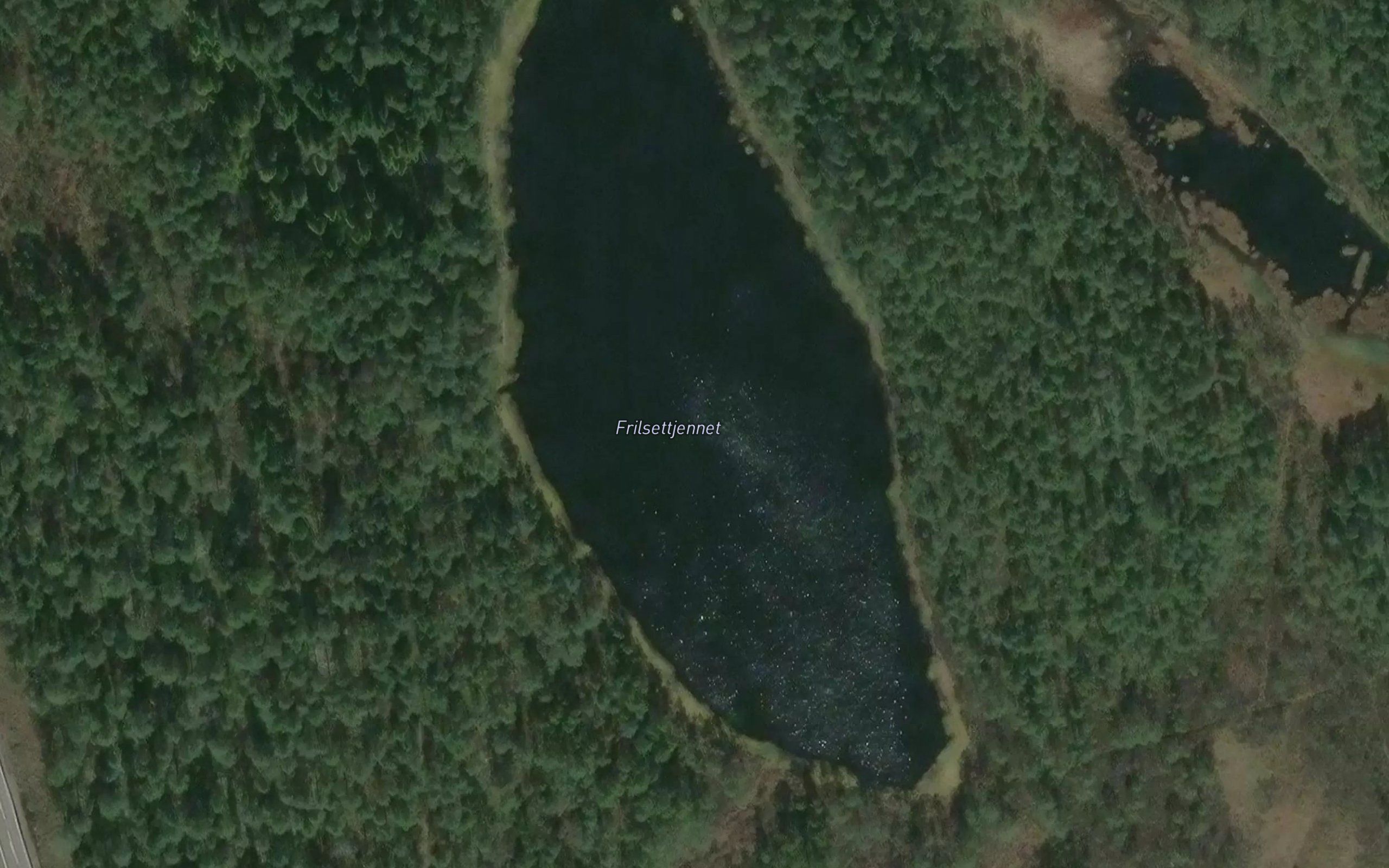 Frilsettjernet