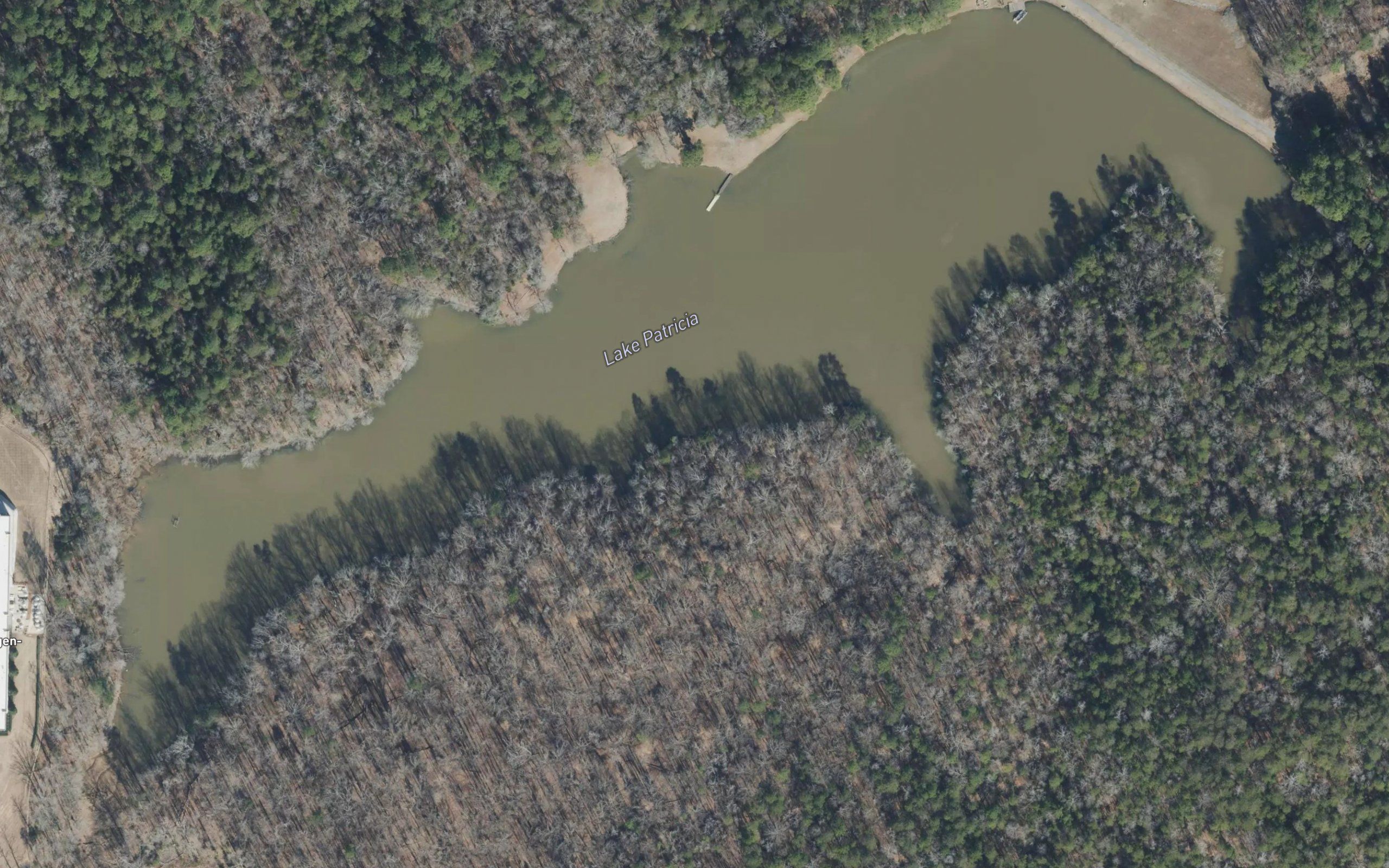 Lake Patricia