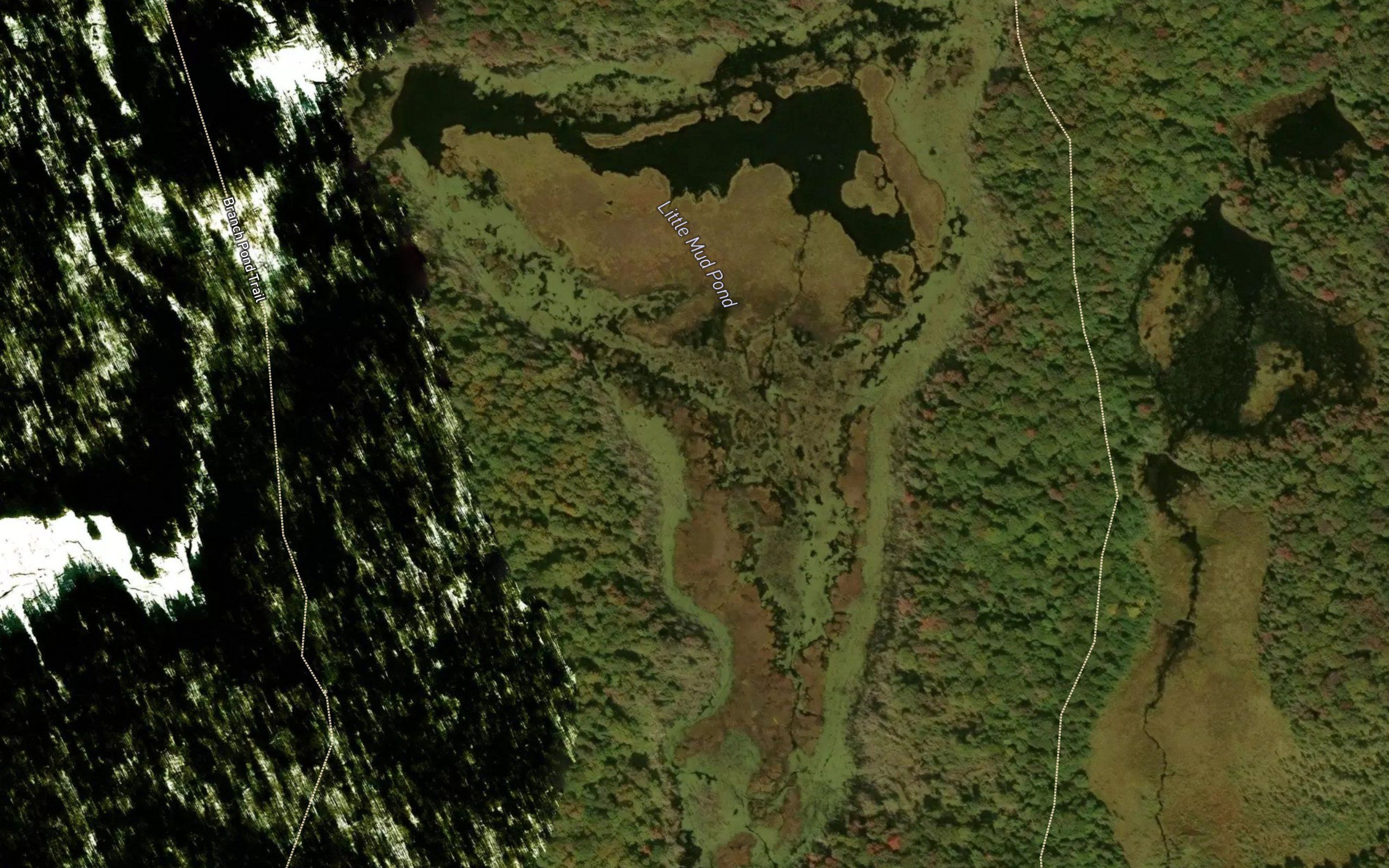 Little Mud Pond