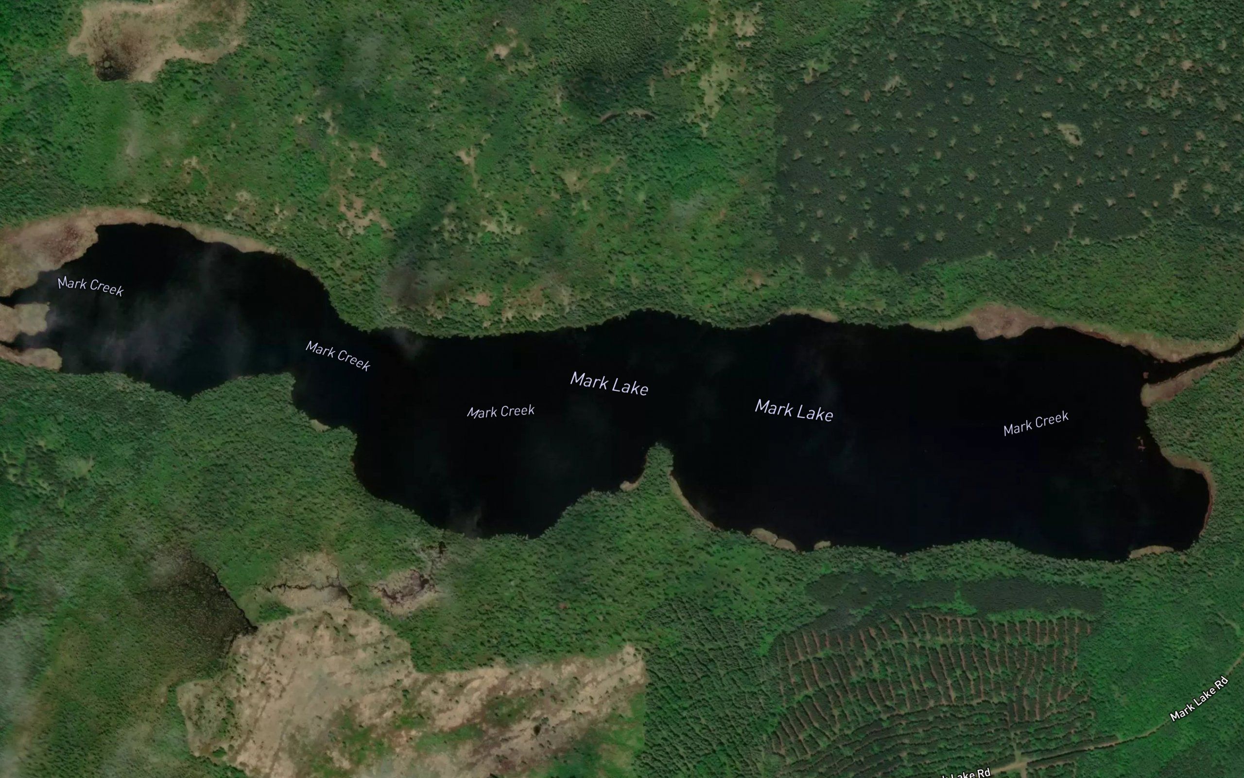 Mark Lake