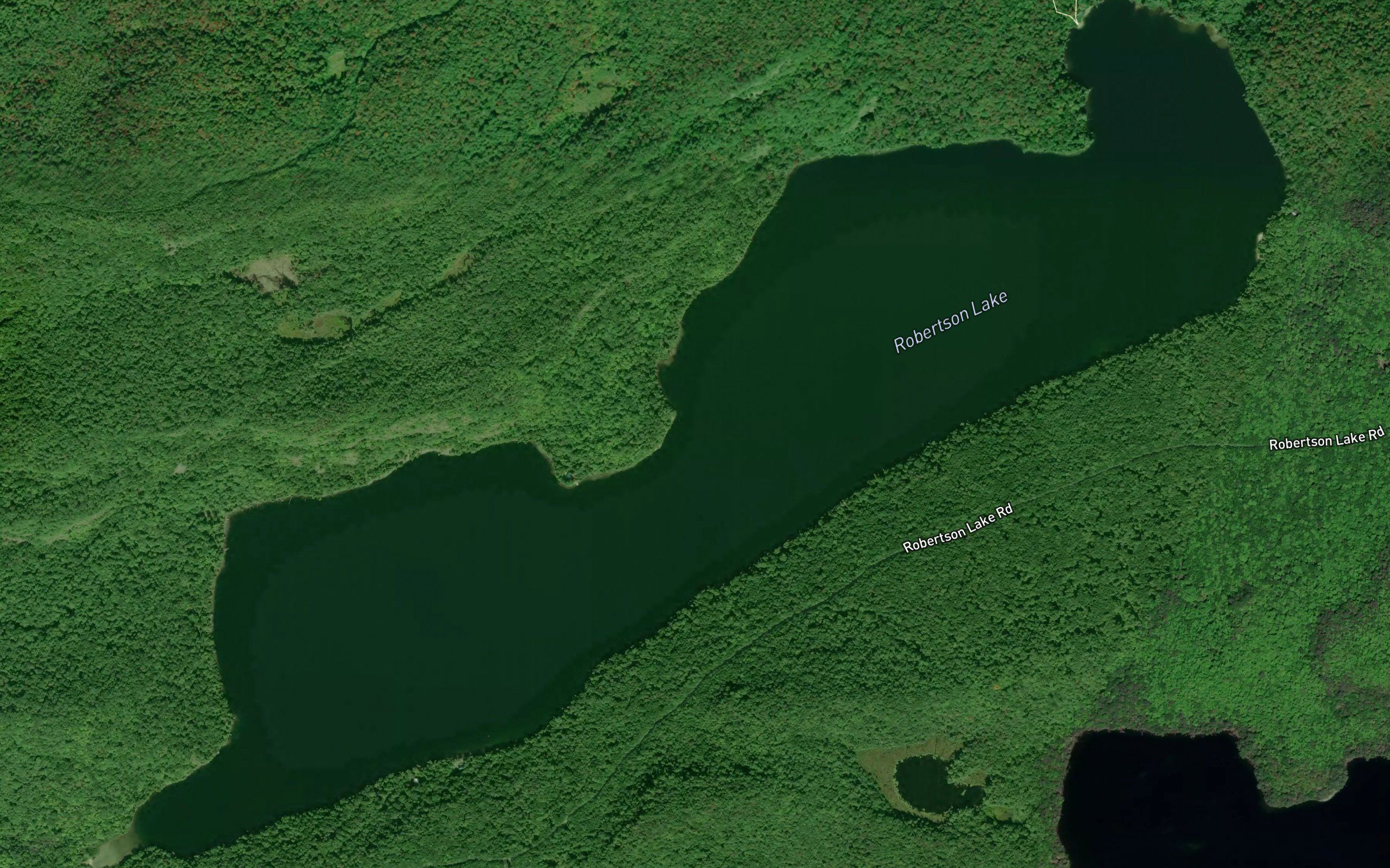 Robertson Lake