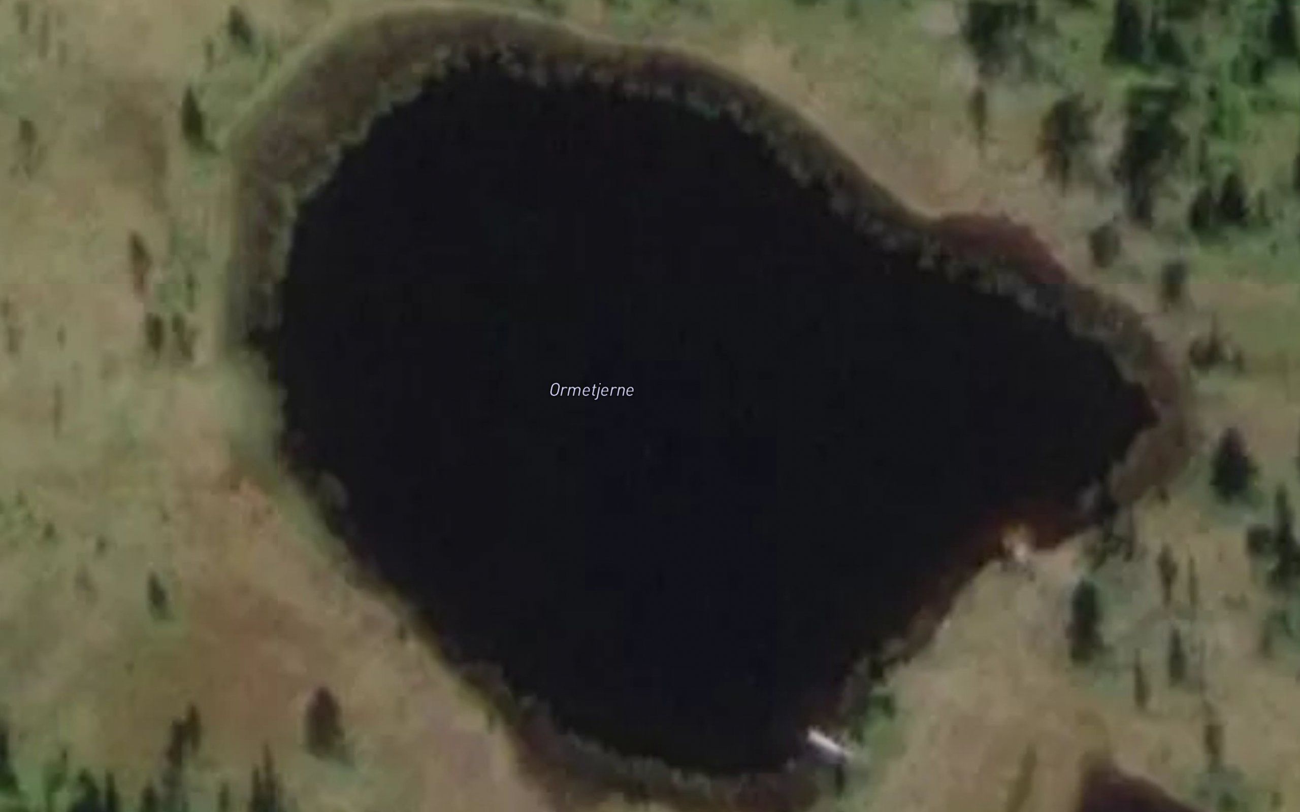 Ormetjerni