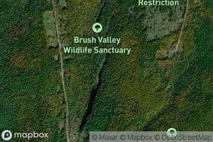 Gales Brook
