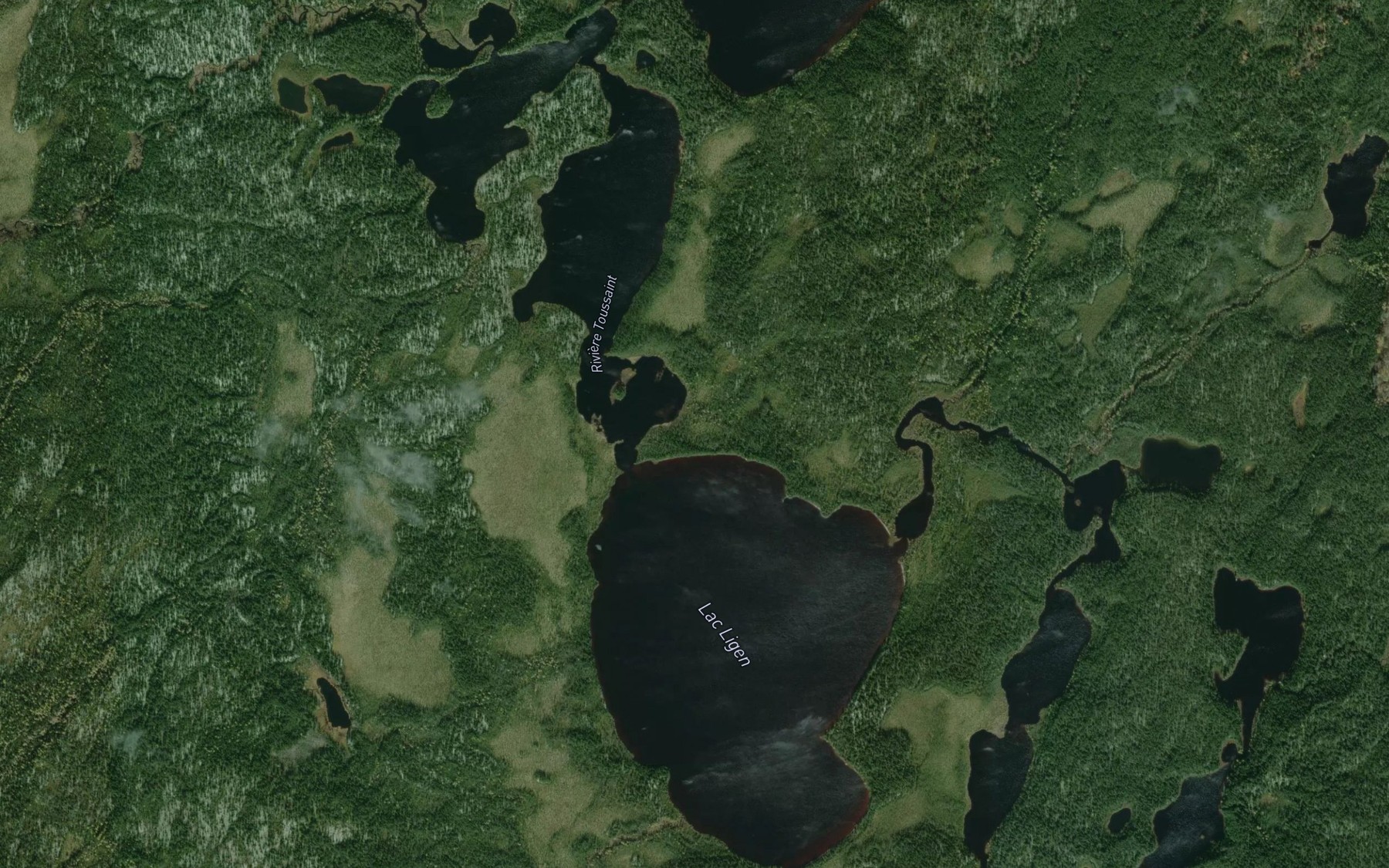 Satellite map of the Lac Ligen