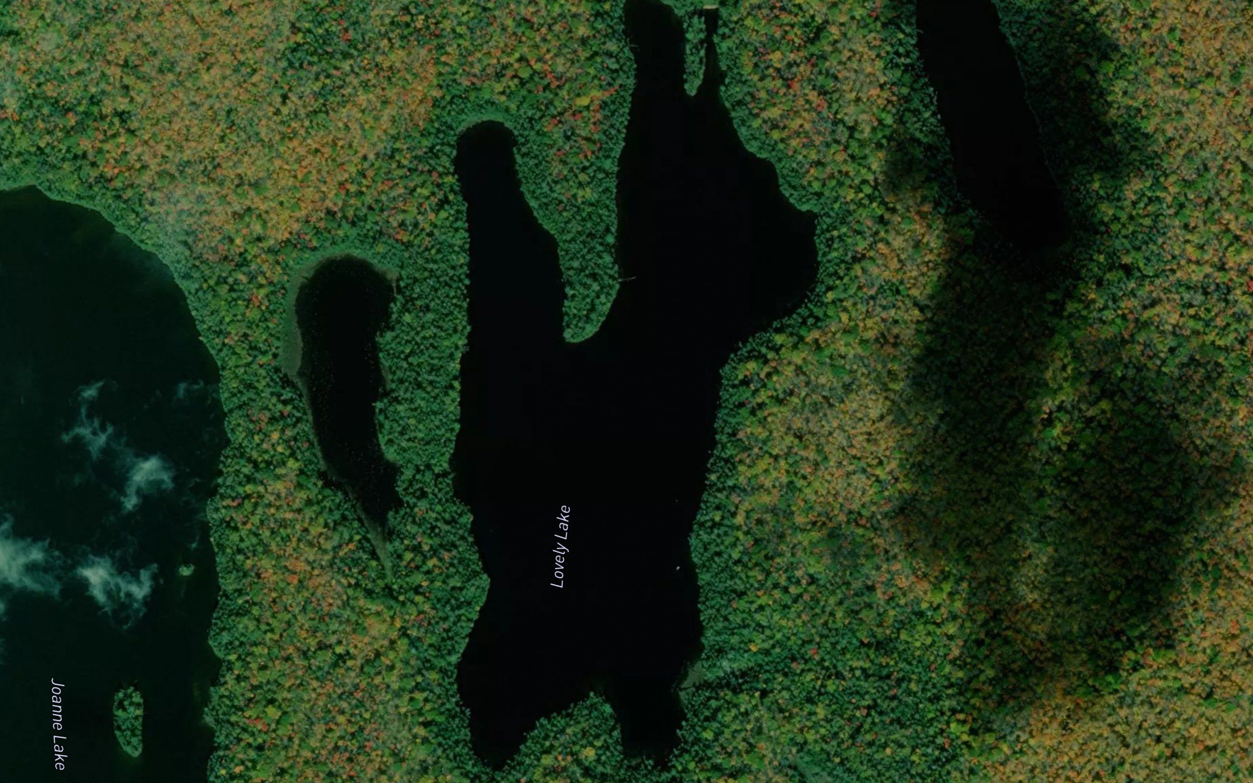 Lovely Lake