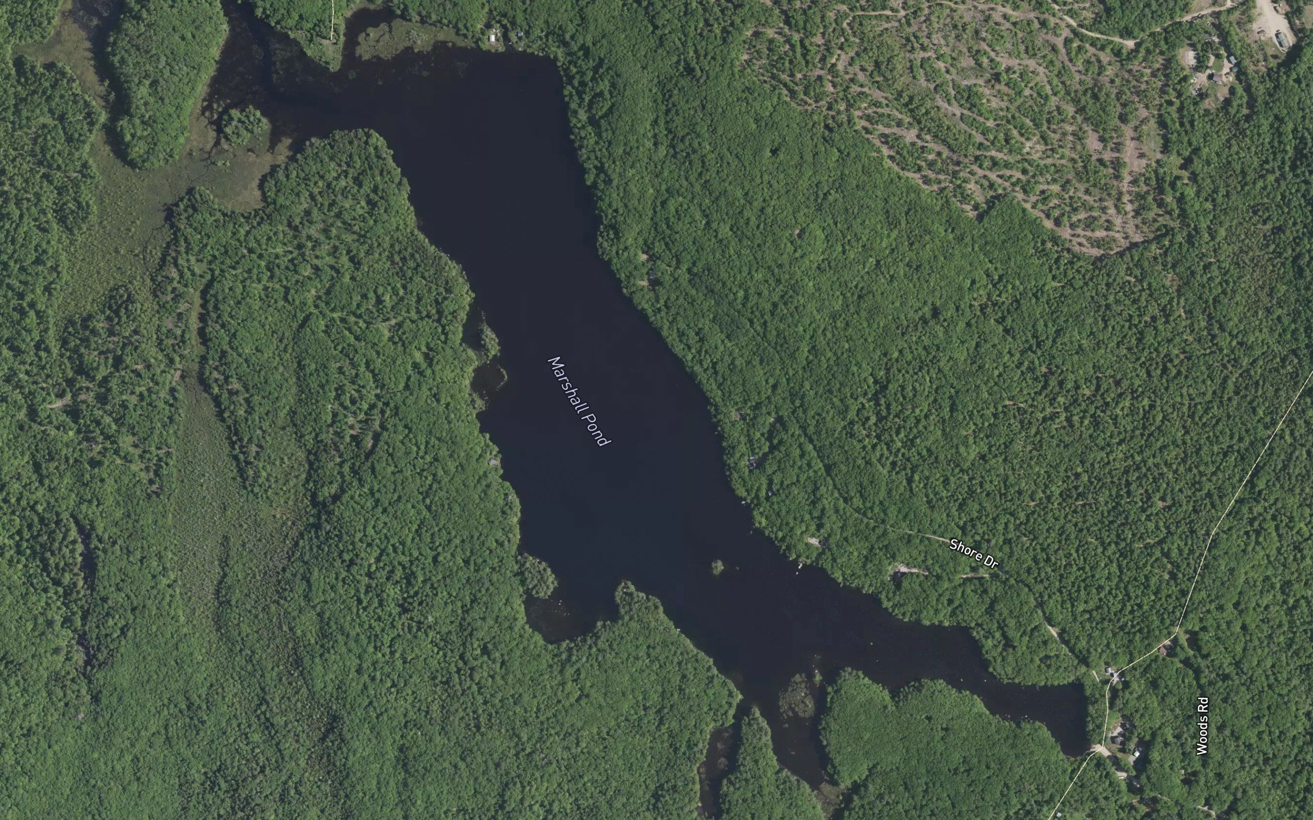 Marshall Pond
