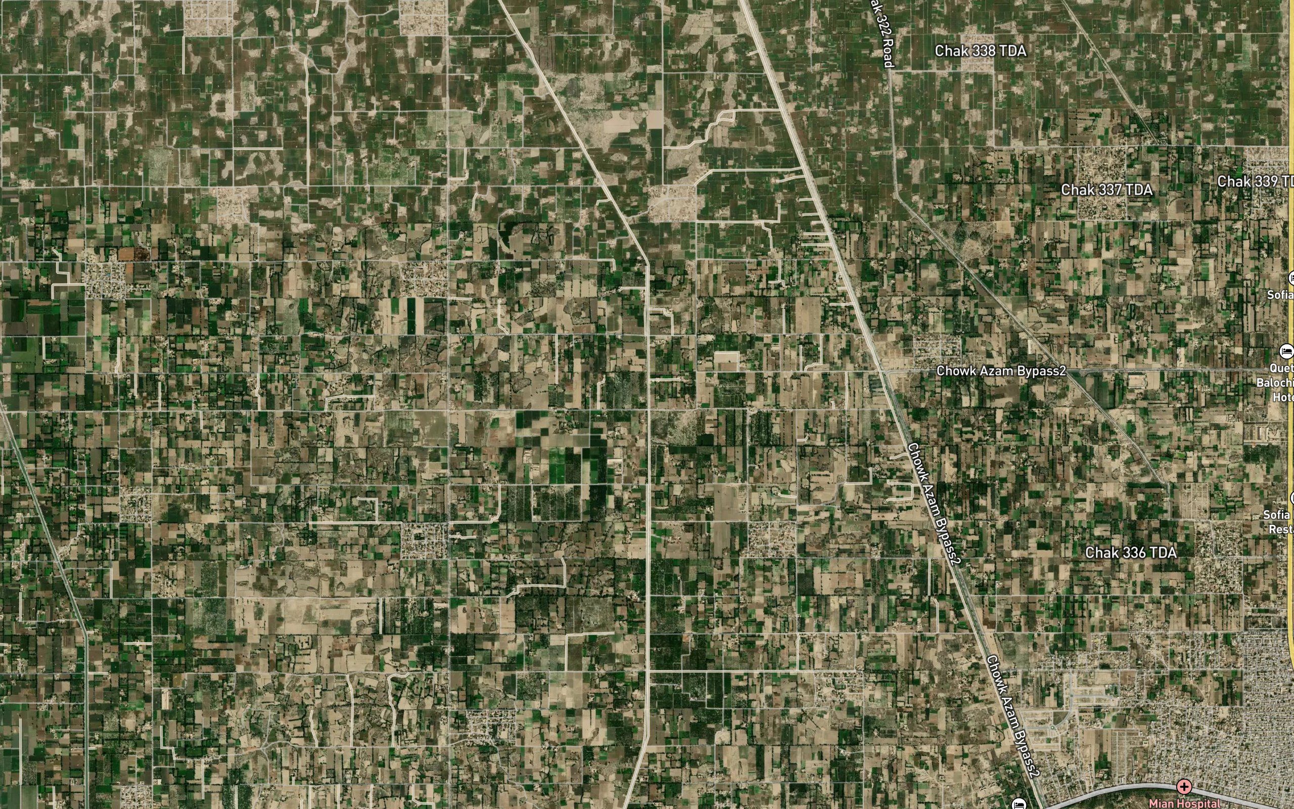Musa Distributary