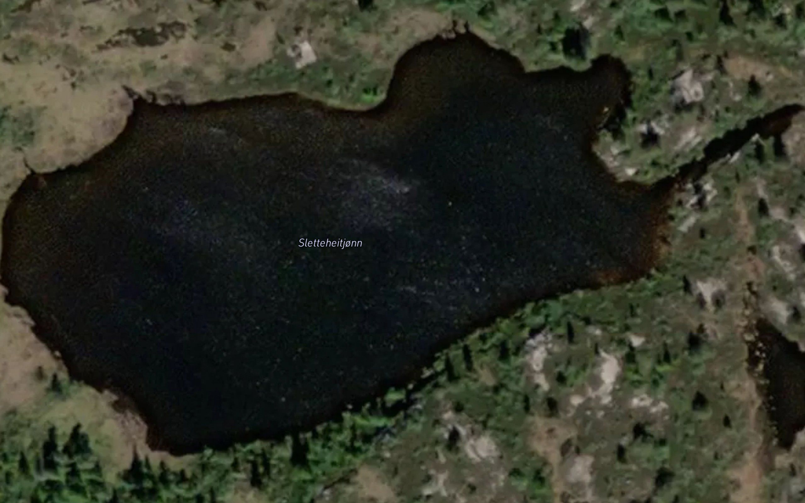 Sletteheitjorni