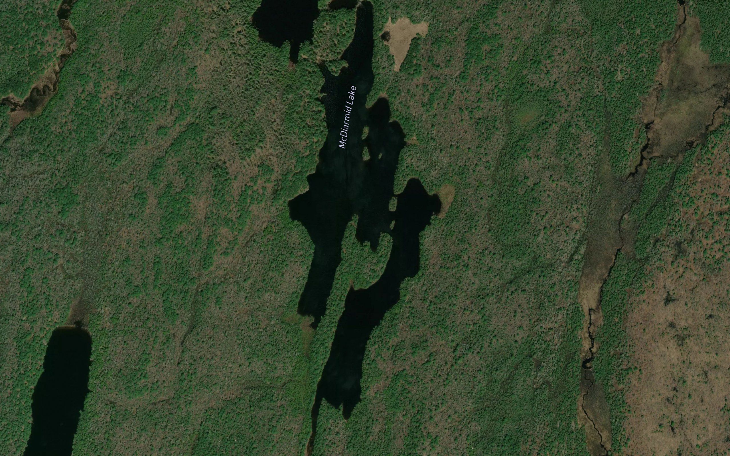 McDiarmid Lake