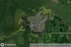 Rice Lake