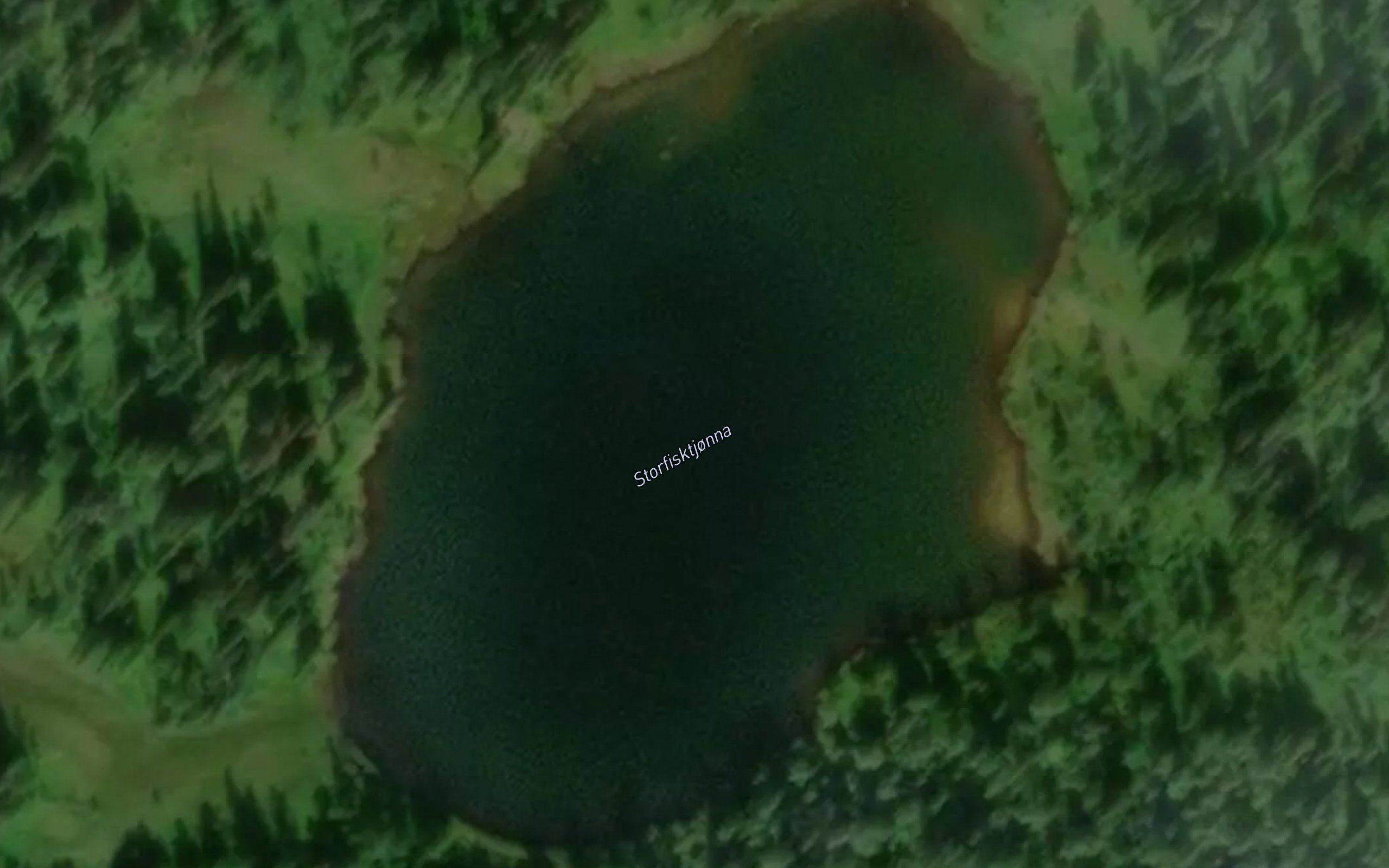 Storfisktjonna