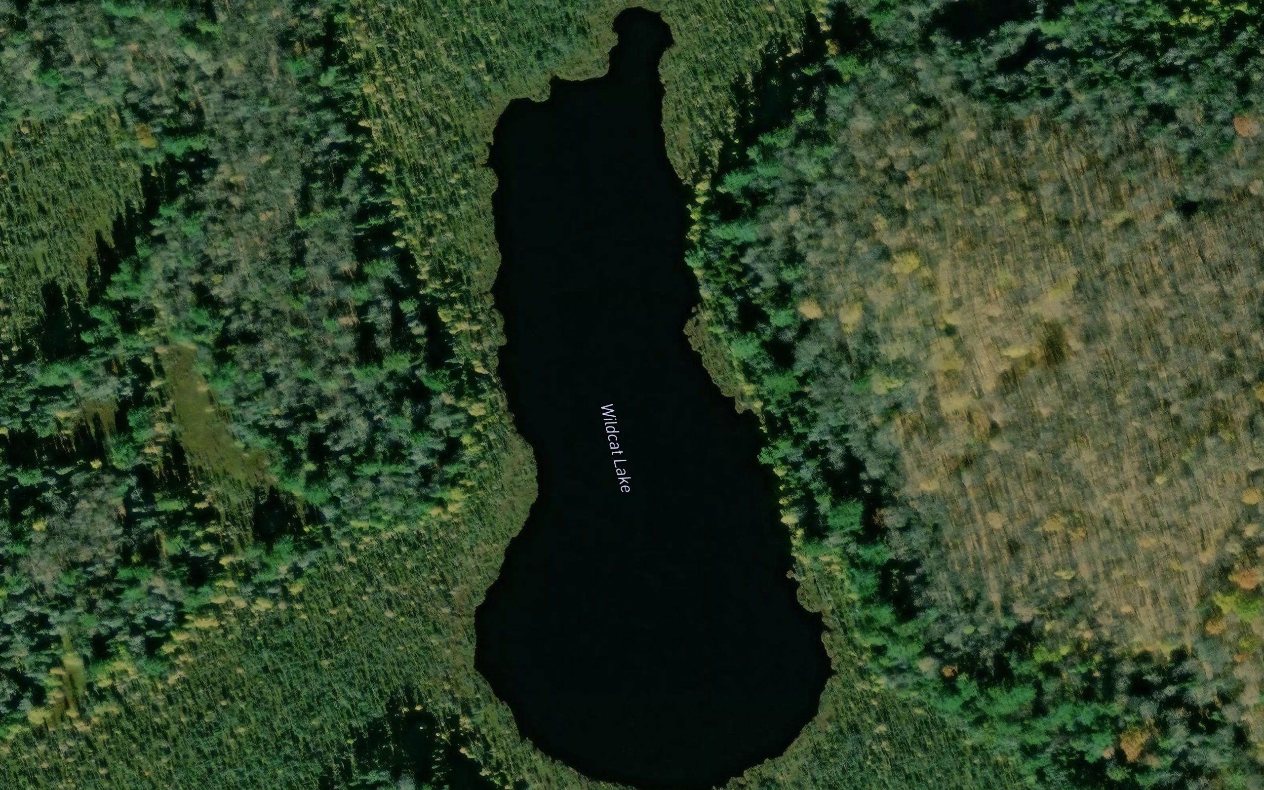 Wildcat Lake