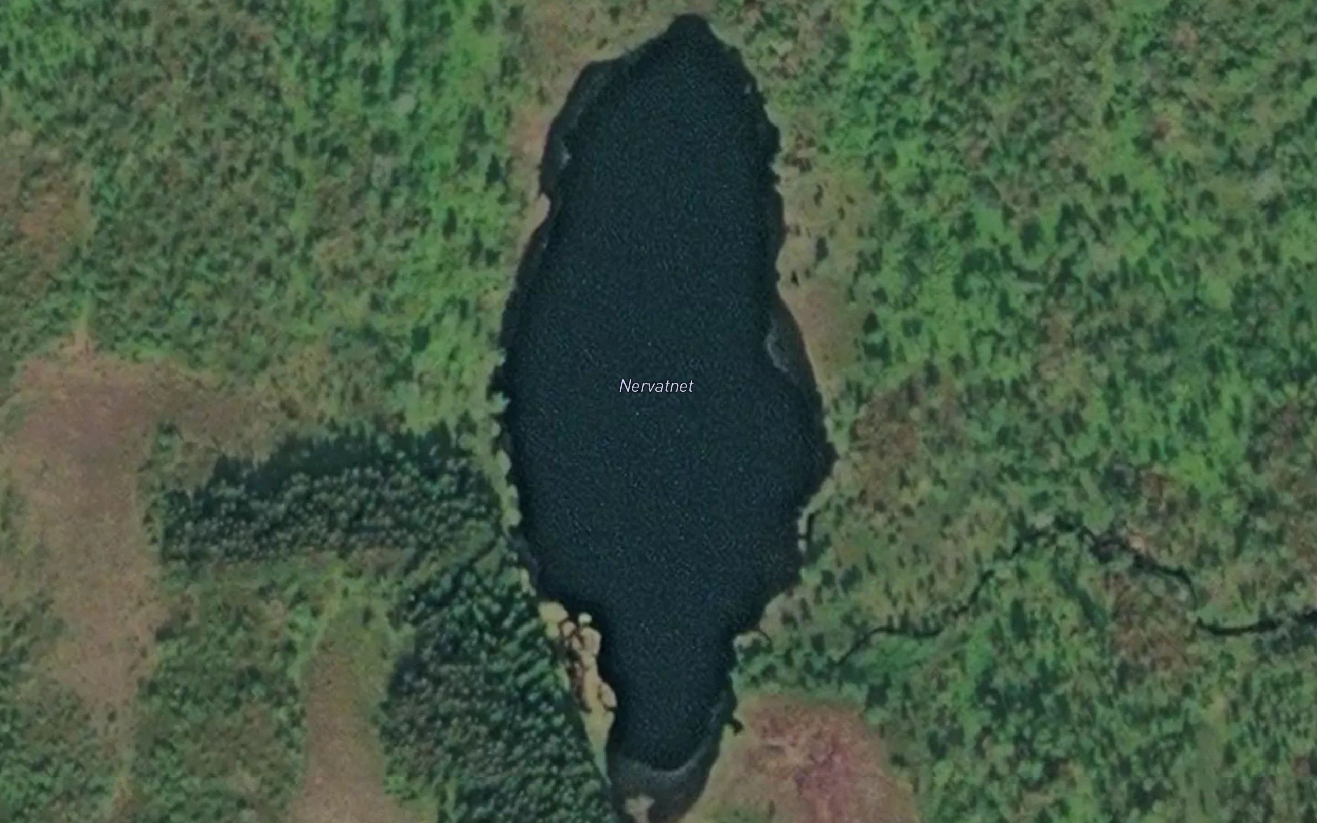 Nervatnet