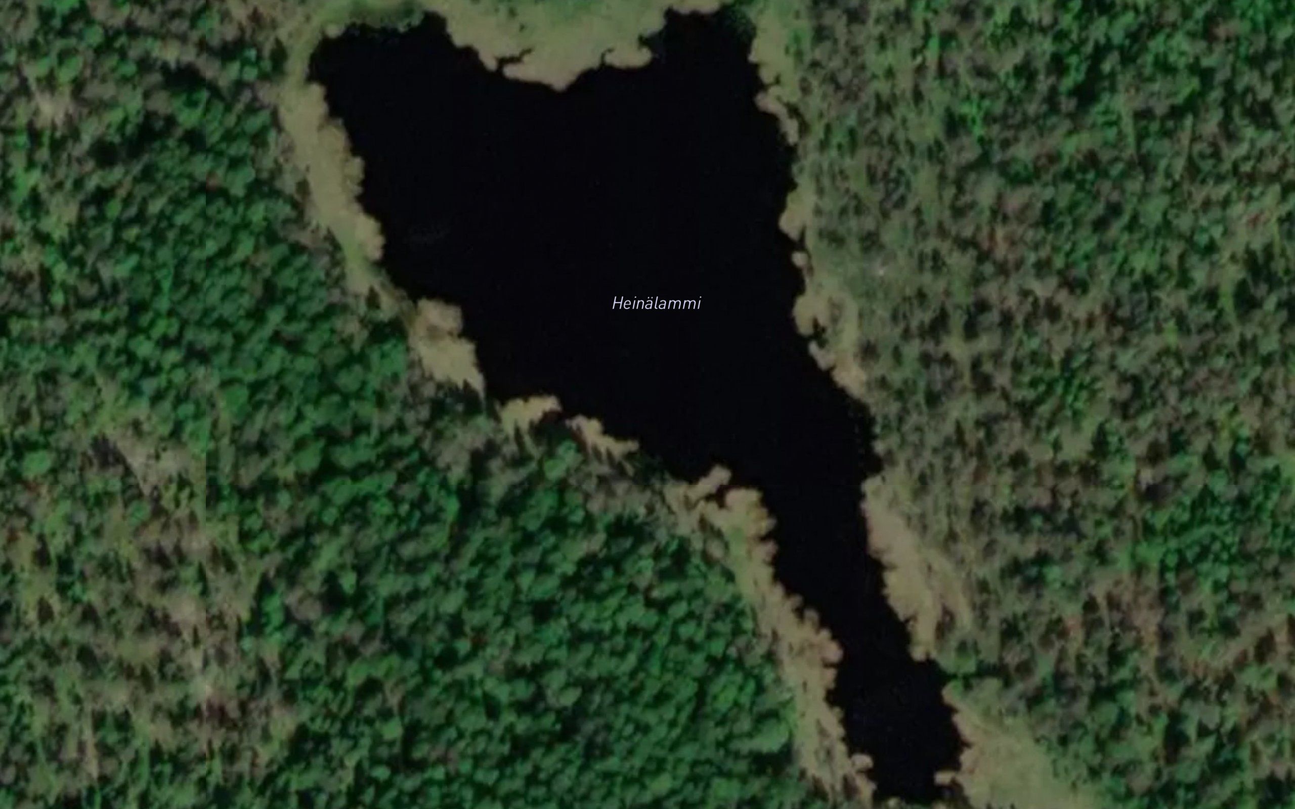Heinalammi