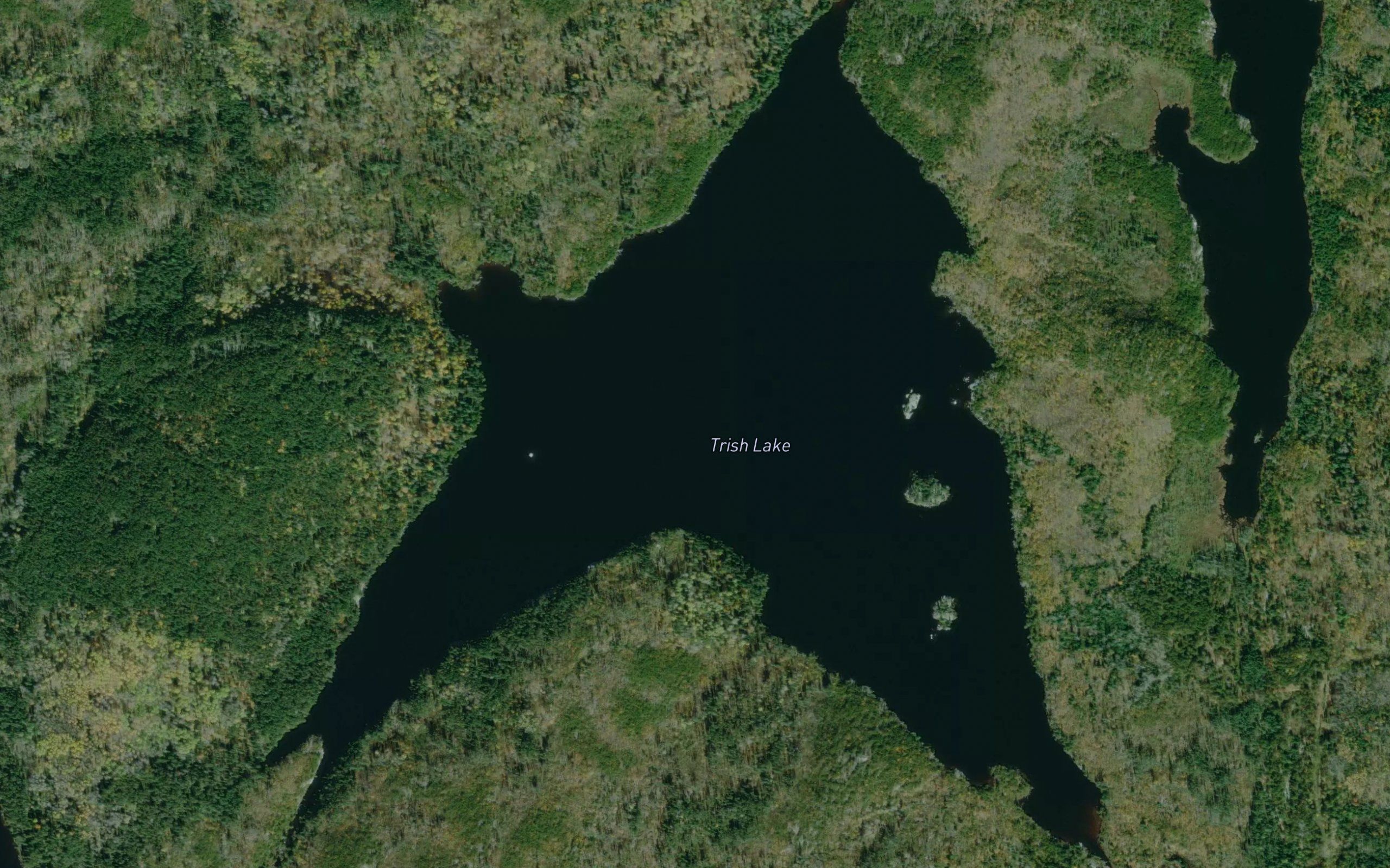 Trish Lake