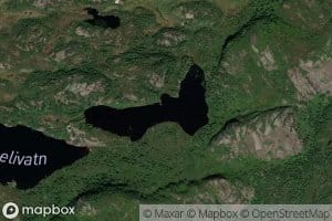 Skardtjorn