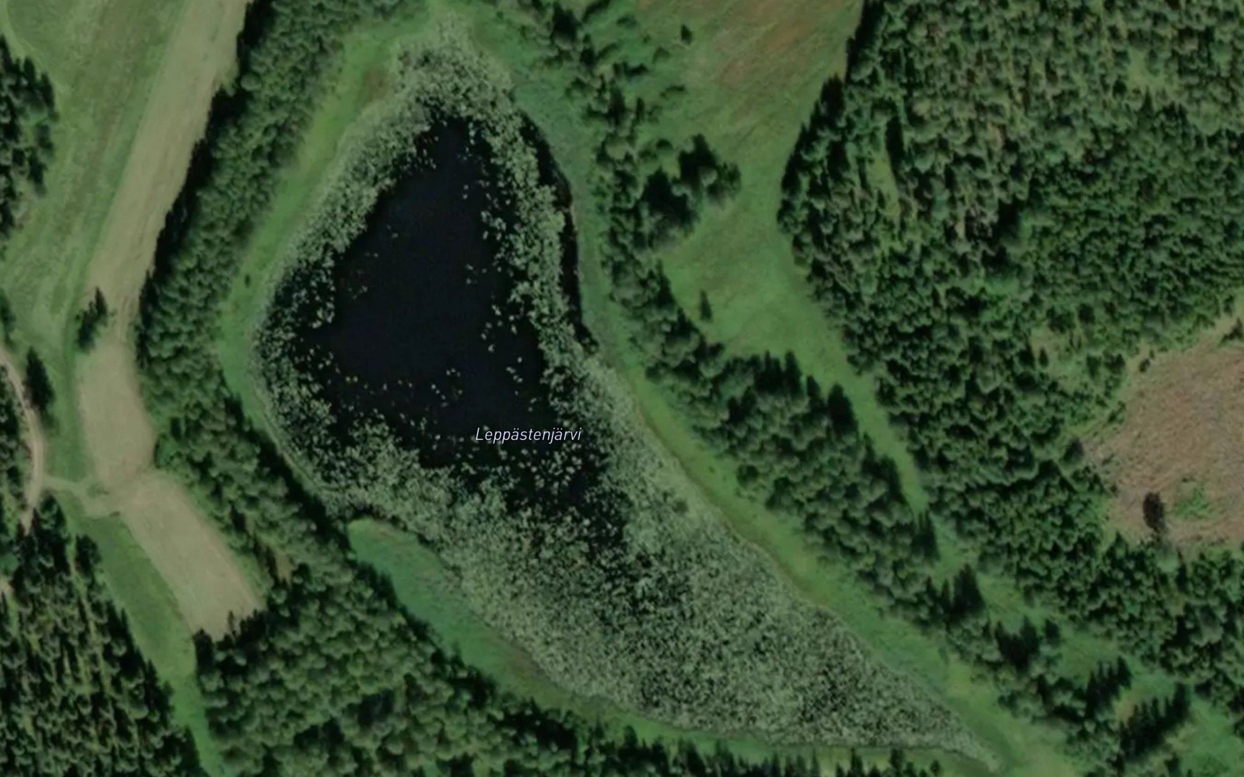 Leppastenjarvi