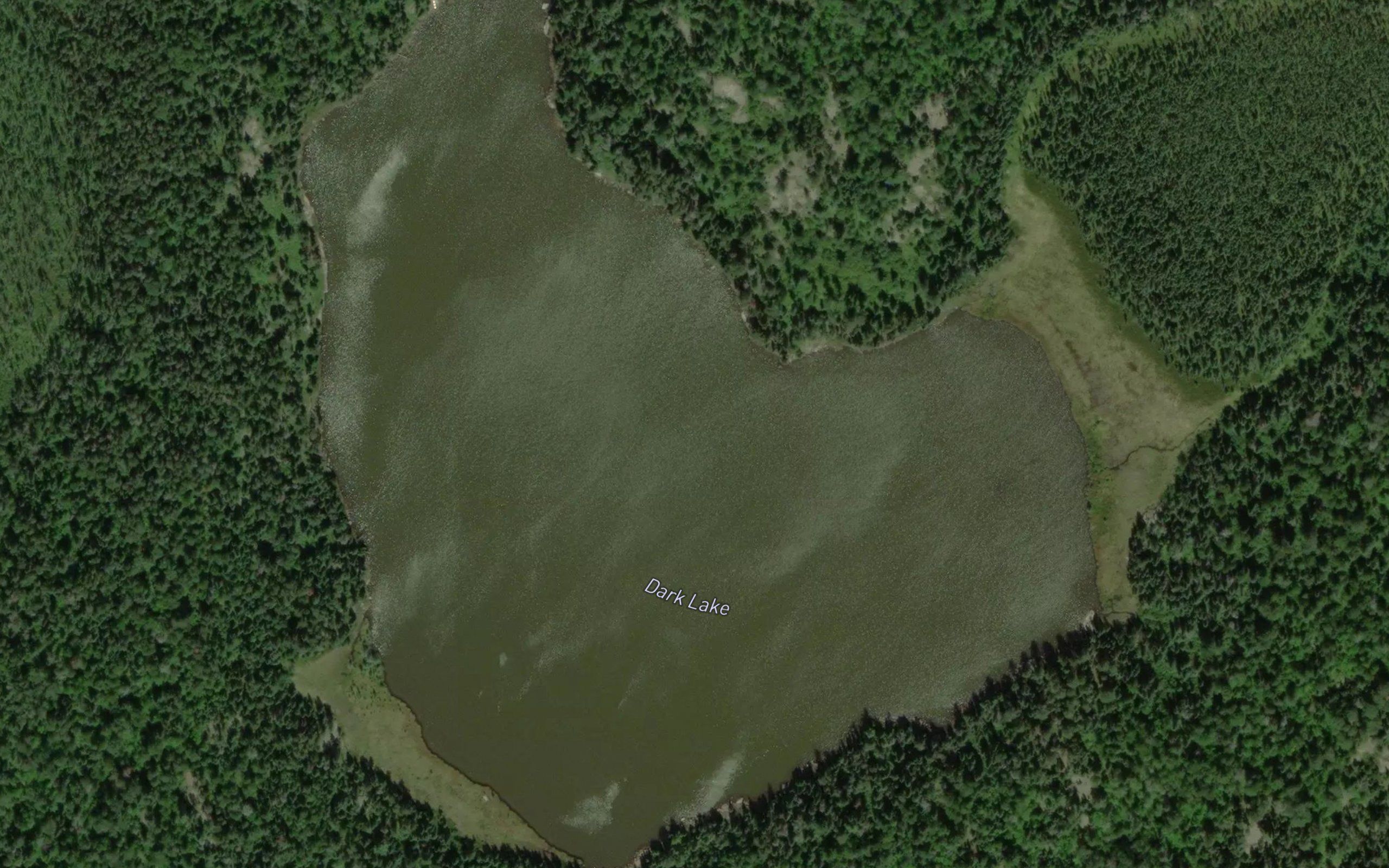 Dark Lake