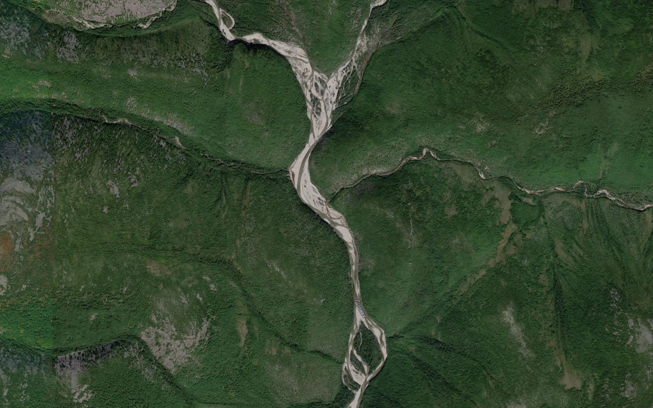 Mokhovoy