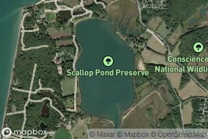 Scallop Pond