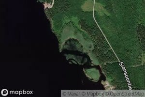 Levealahti