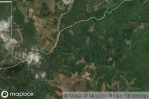 Wai Ngamburpangkalan