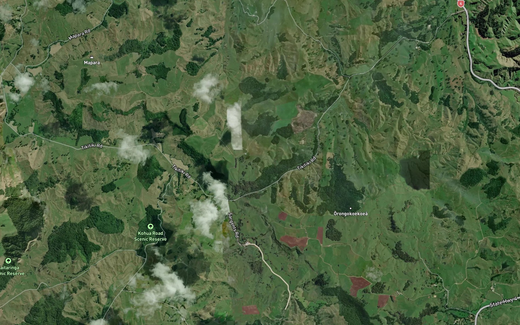 Satellite map of the Mangaongaonga Stream