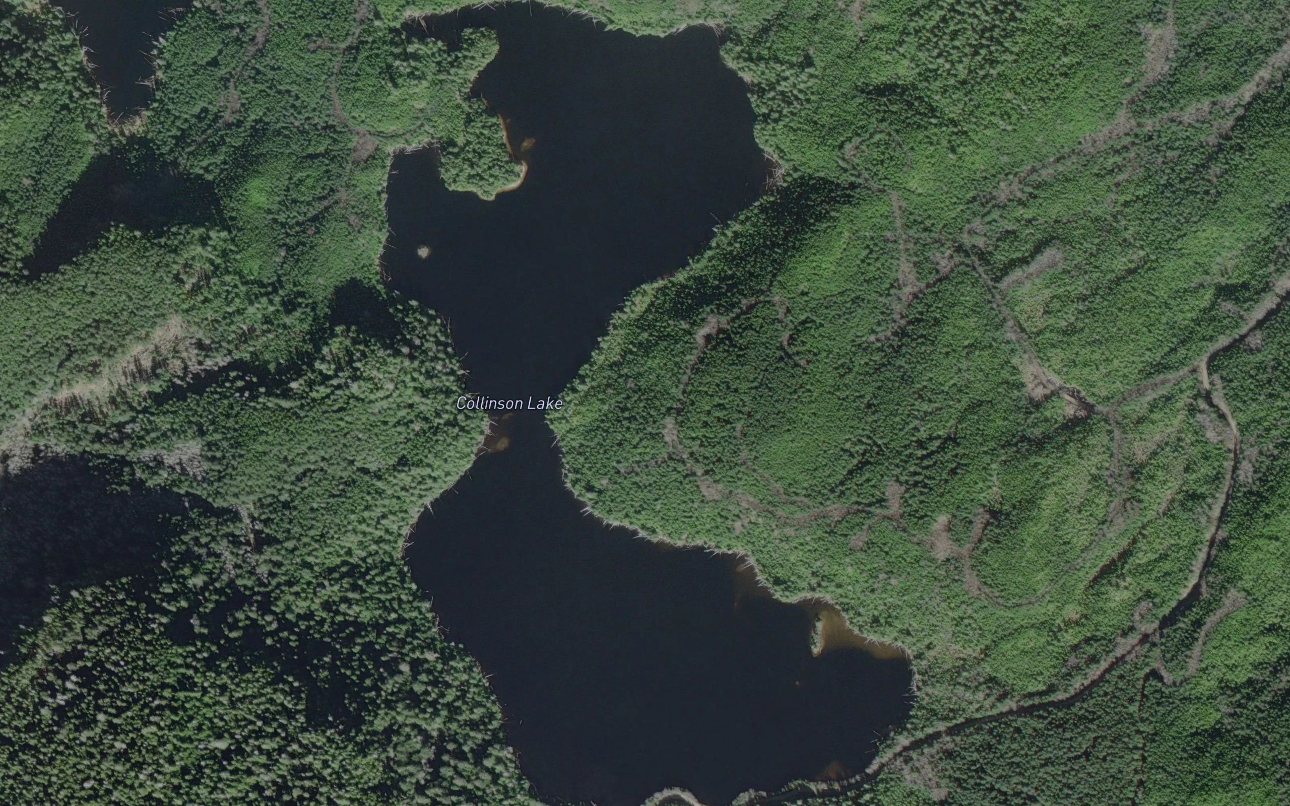 Collinson Lake