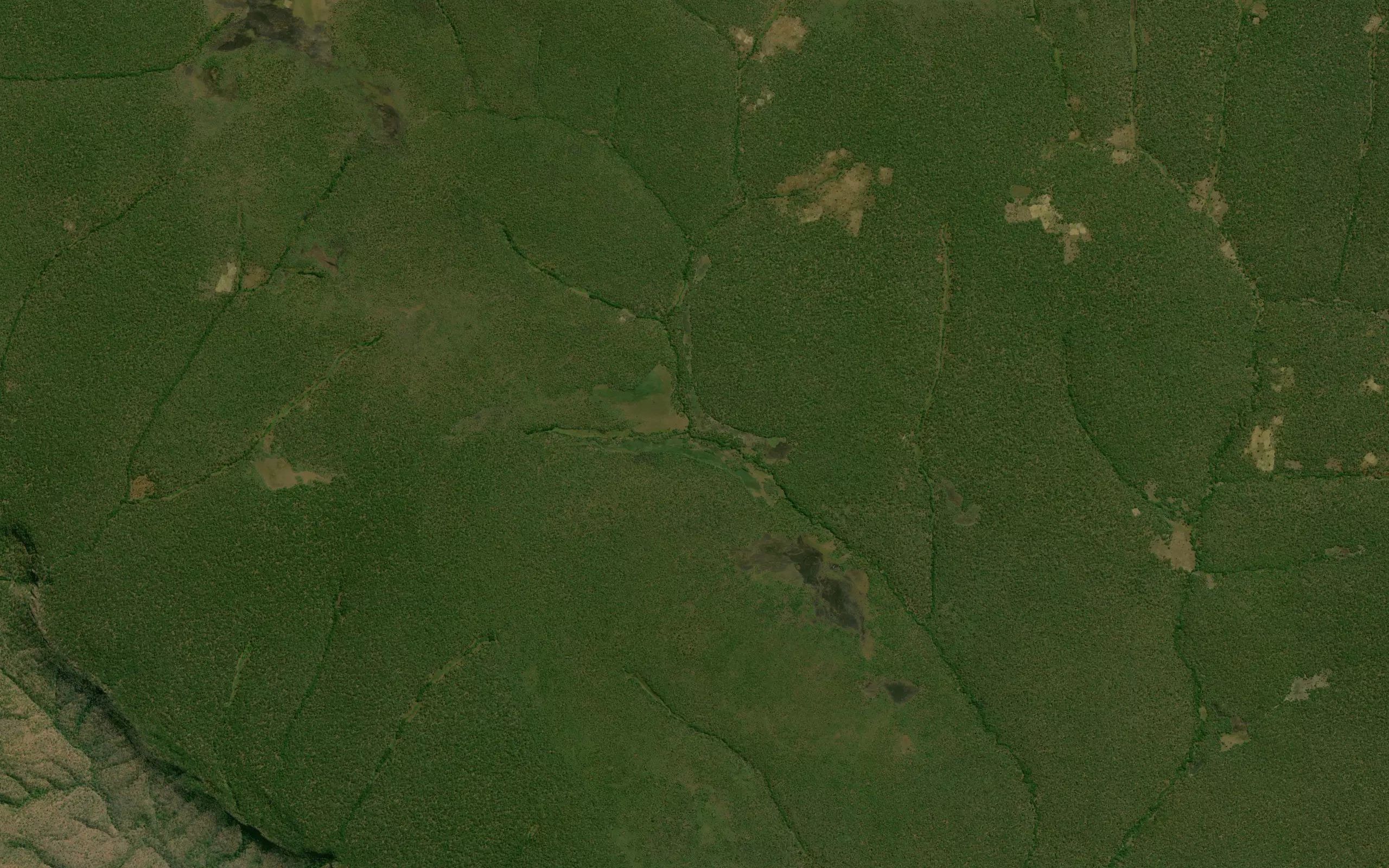 Kipongu