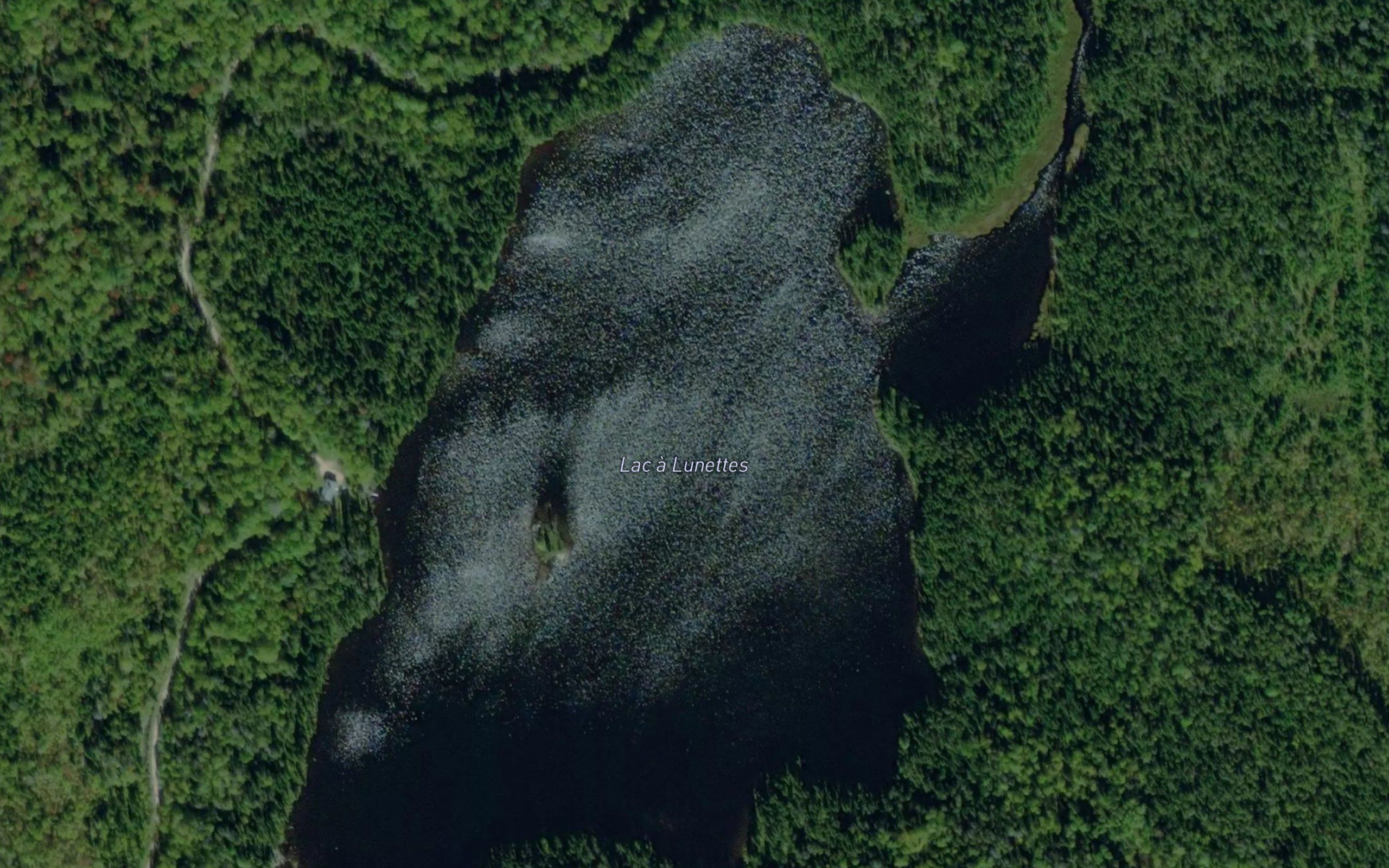 Lac Octave