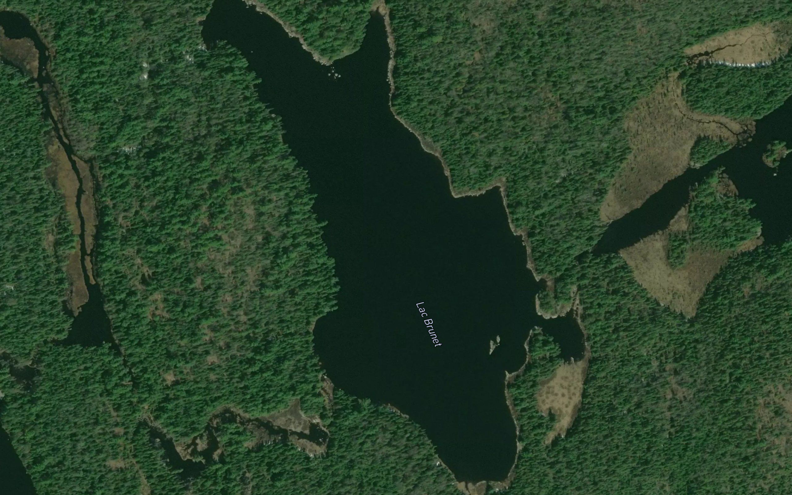 Lac Brunet