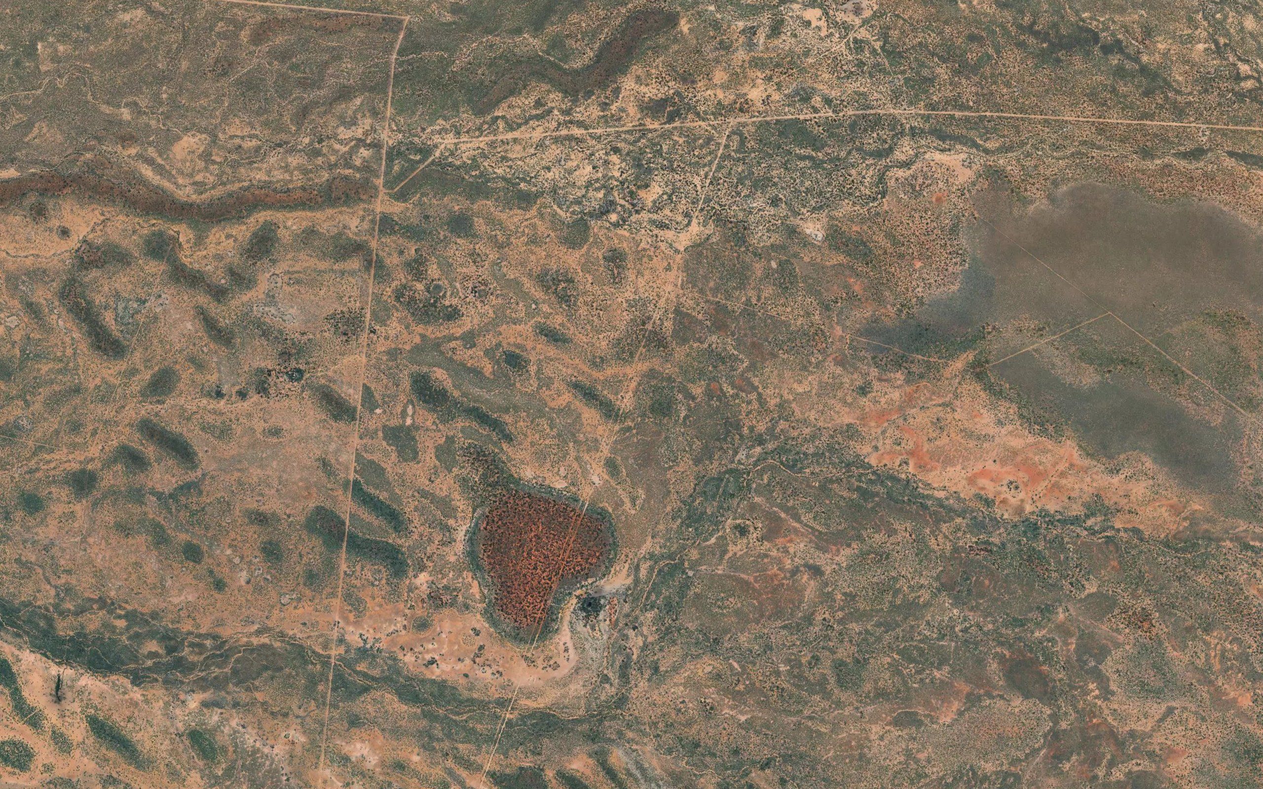 Wombat Spring