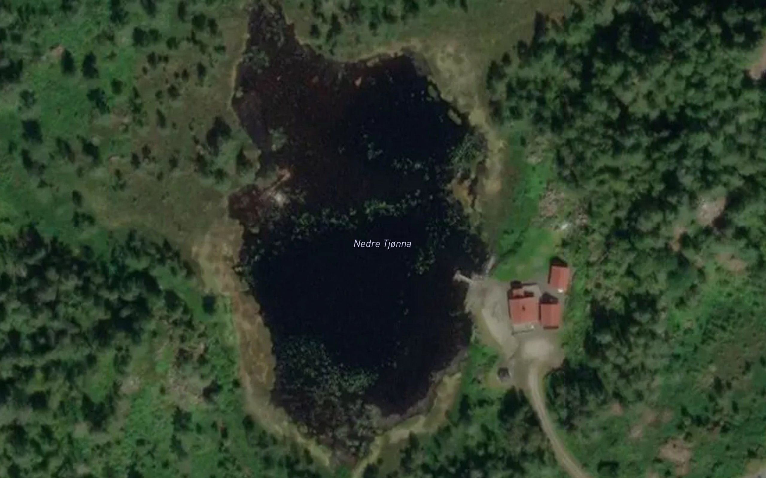 Nedre Tjonna