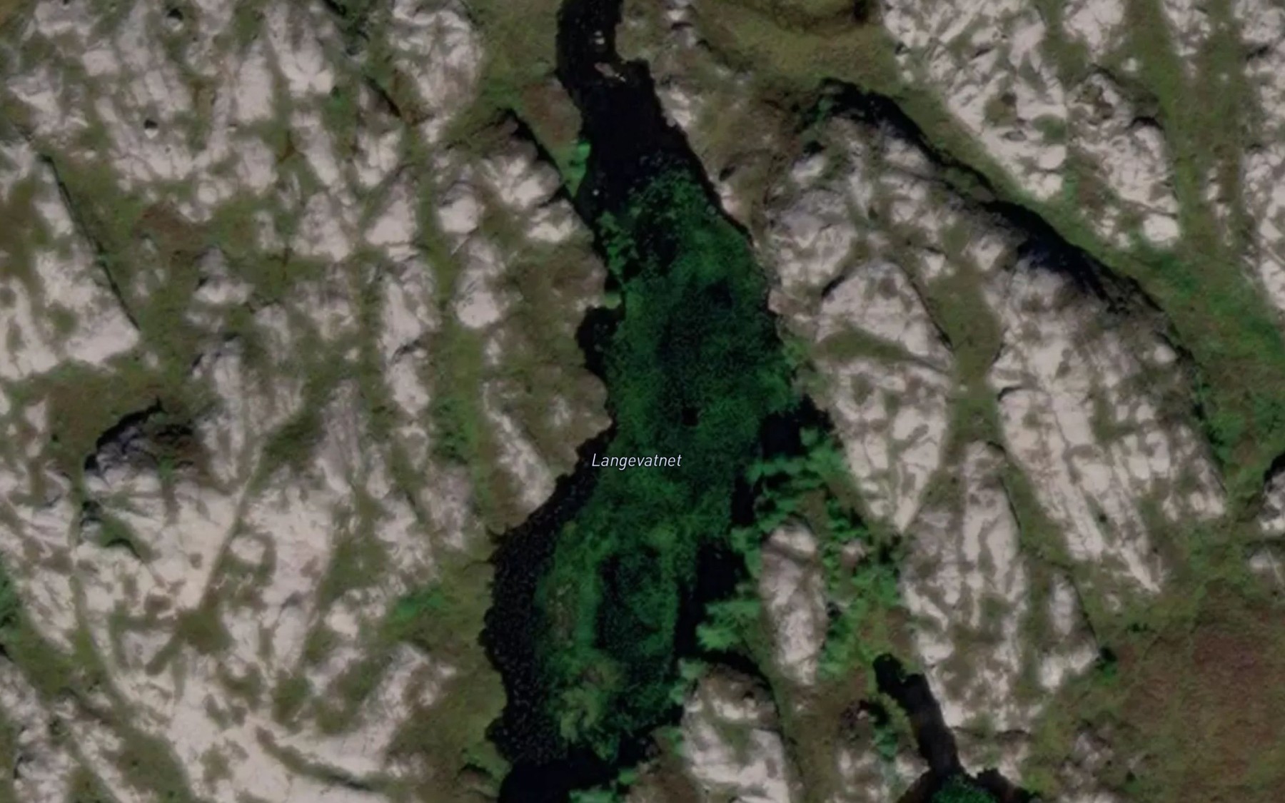 Satellite map of the Langevatnet