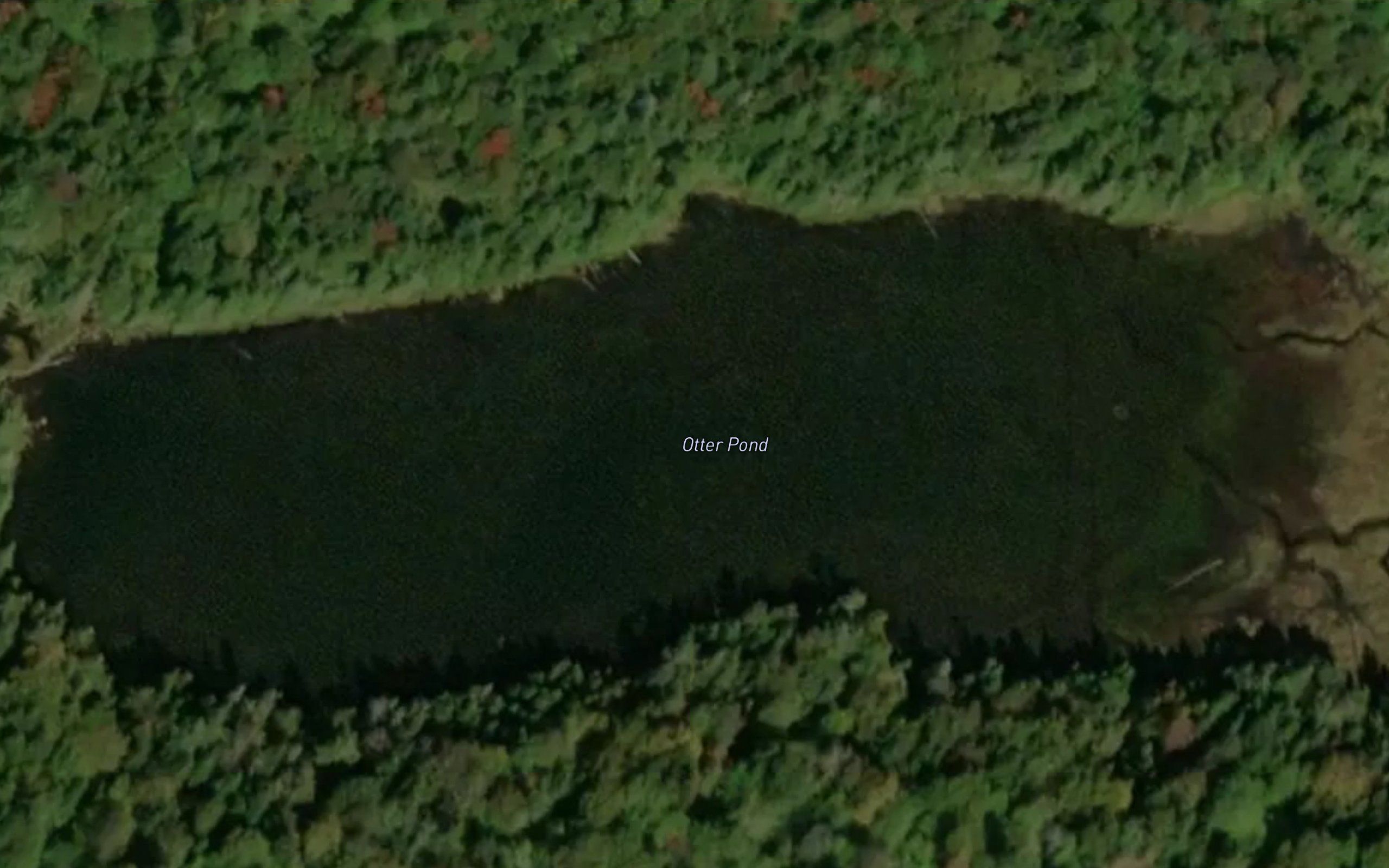 Otter Pond