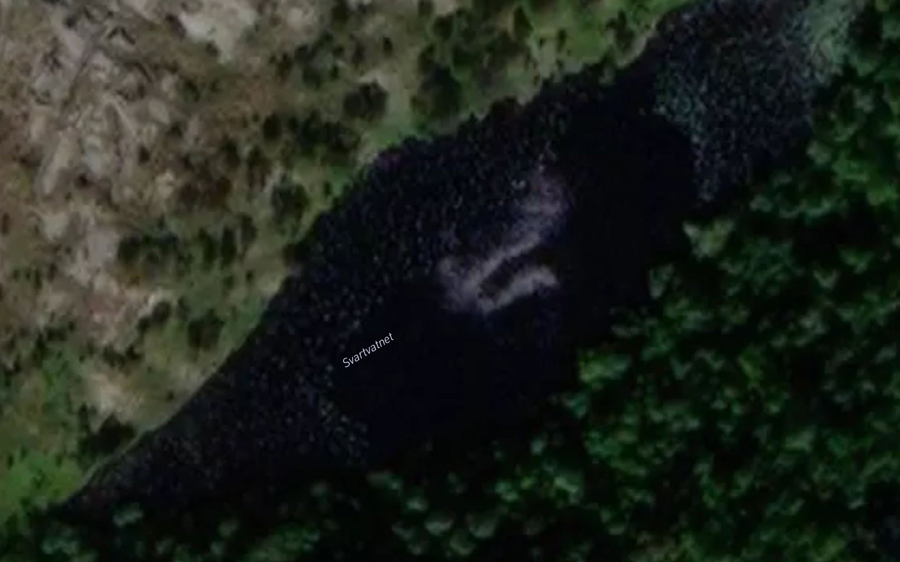 Satellite map of the Svartvatnet