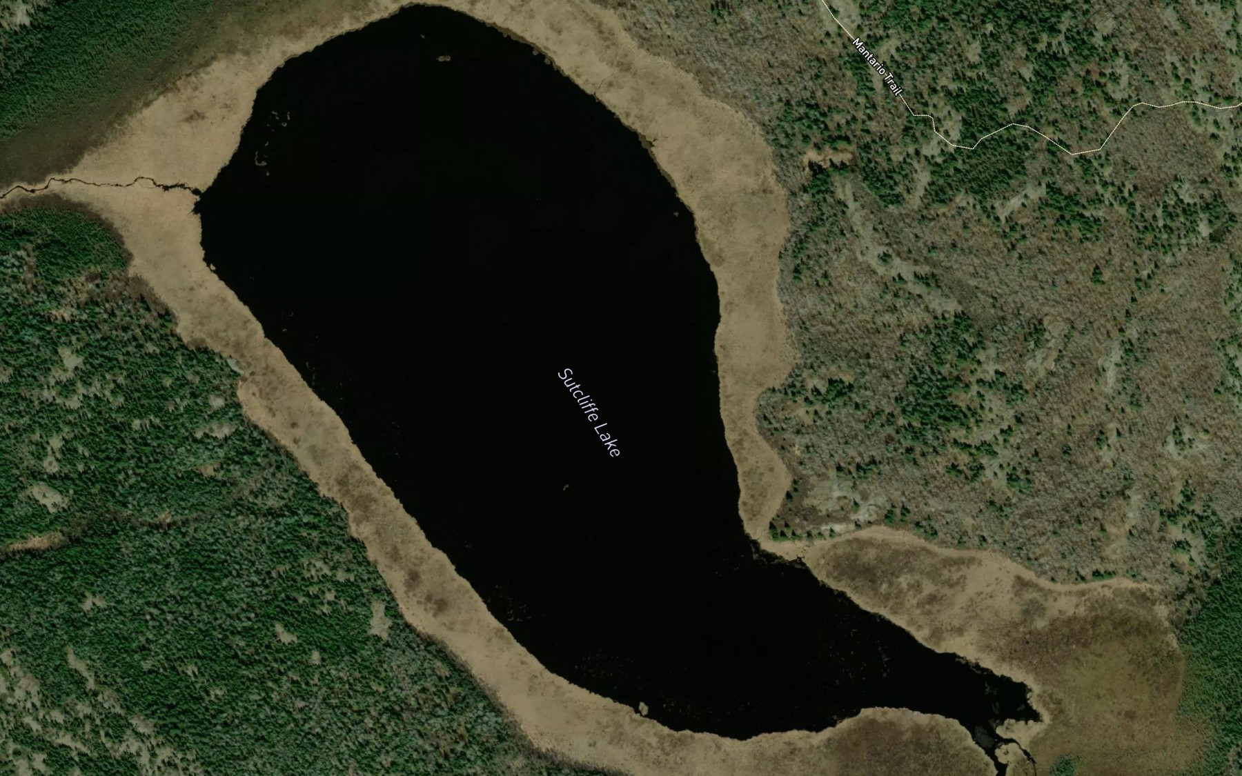 Satellite map of the Sutcliffe Lake