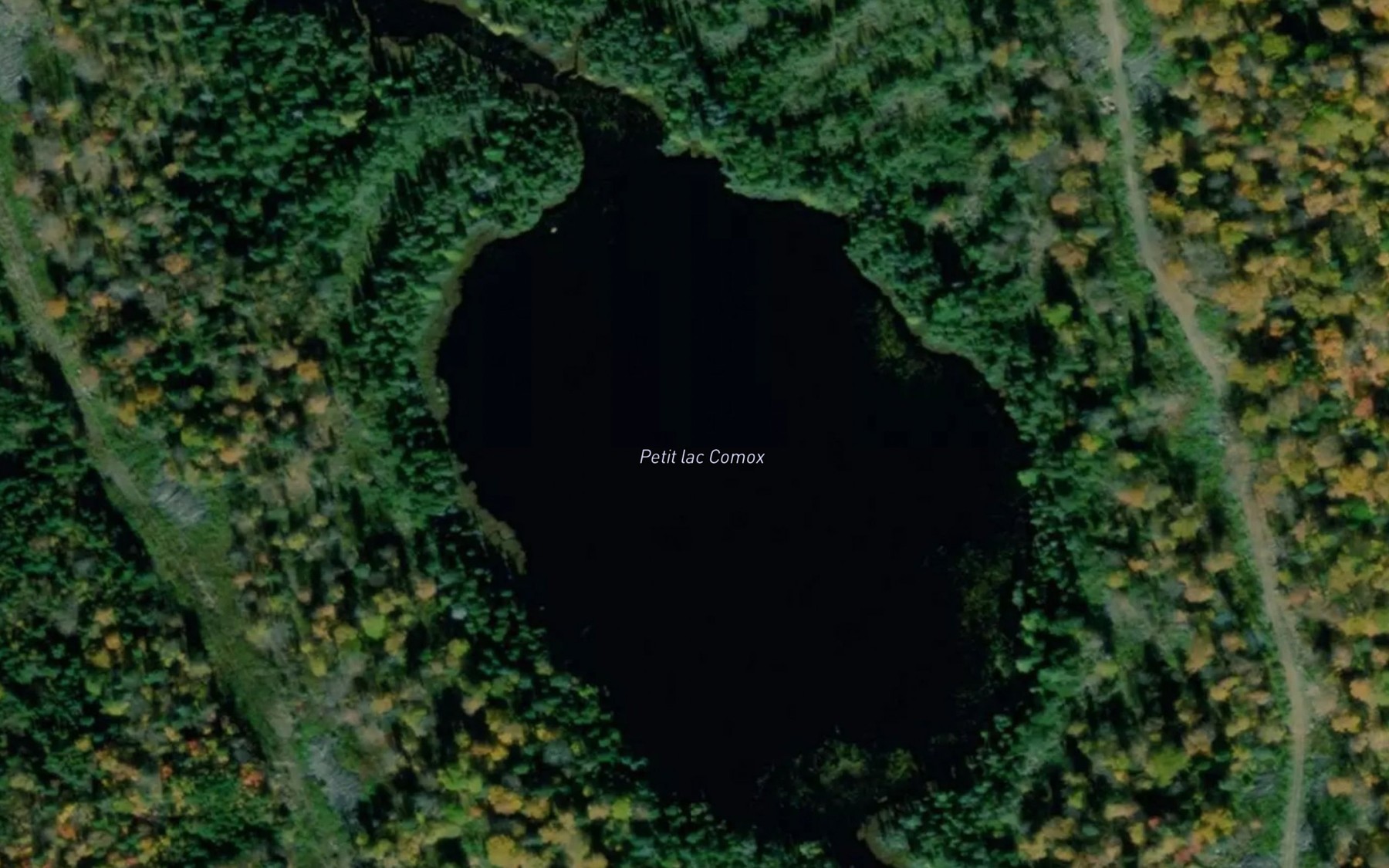 Satellite map of the Petit lac Comox
